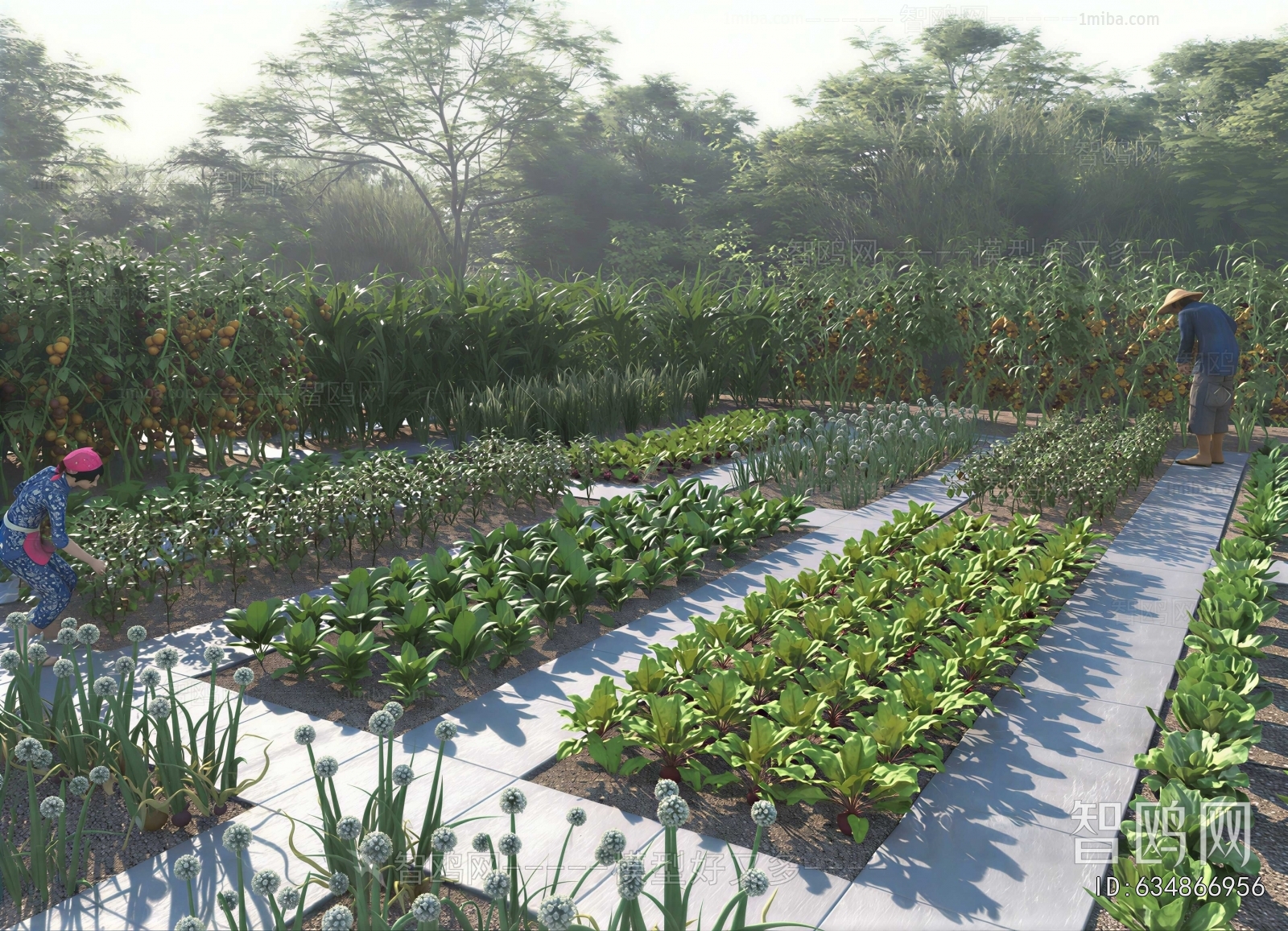 Modern Crop