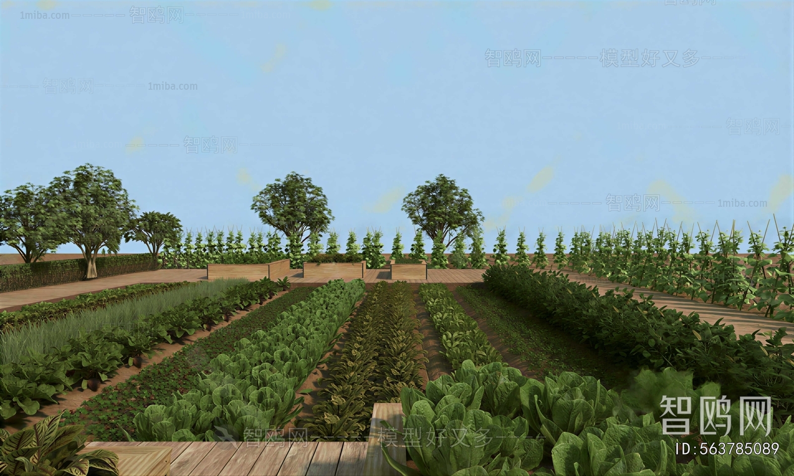 Modern Crop