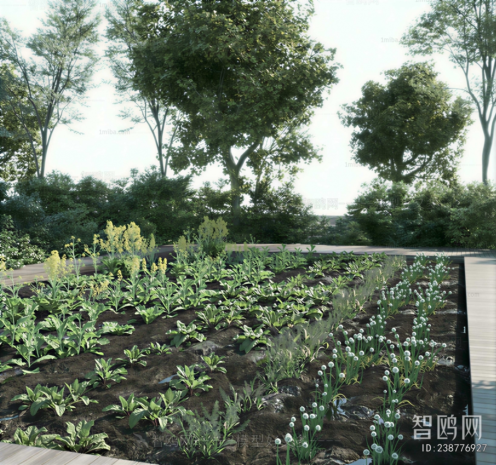 Modern Crop