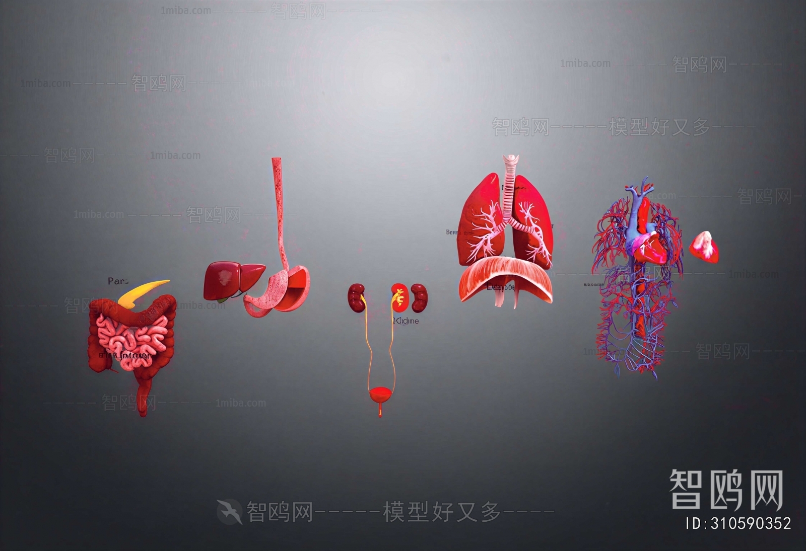 Modern Medical Equipment