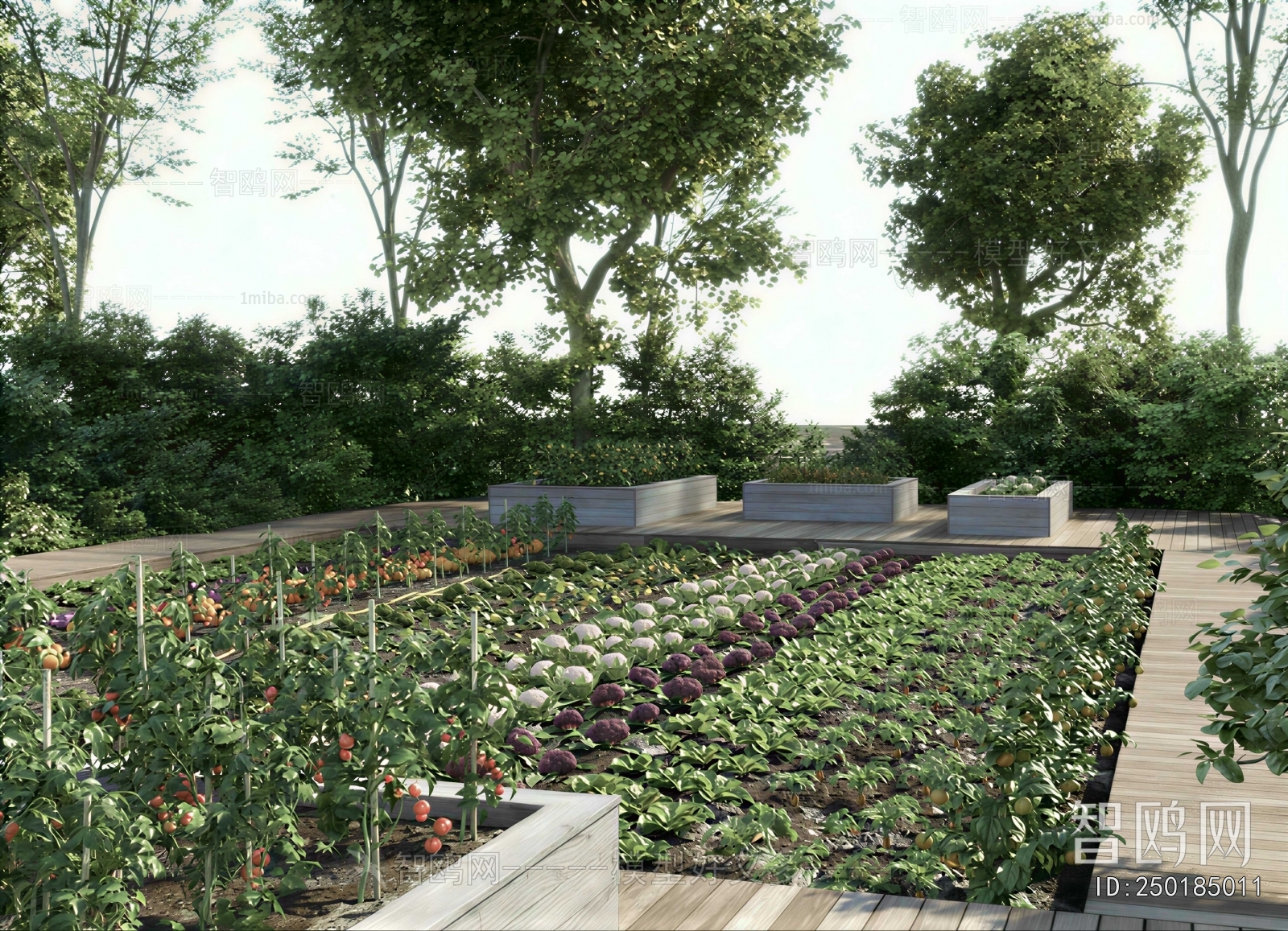 Modern Crop