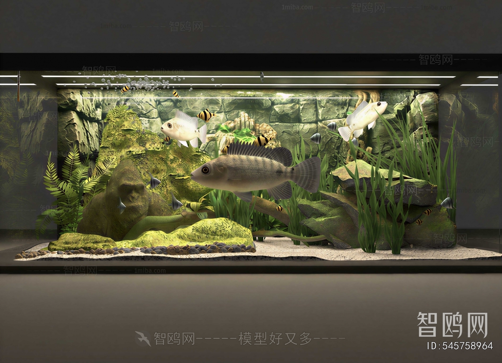 Modern Fish Tank