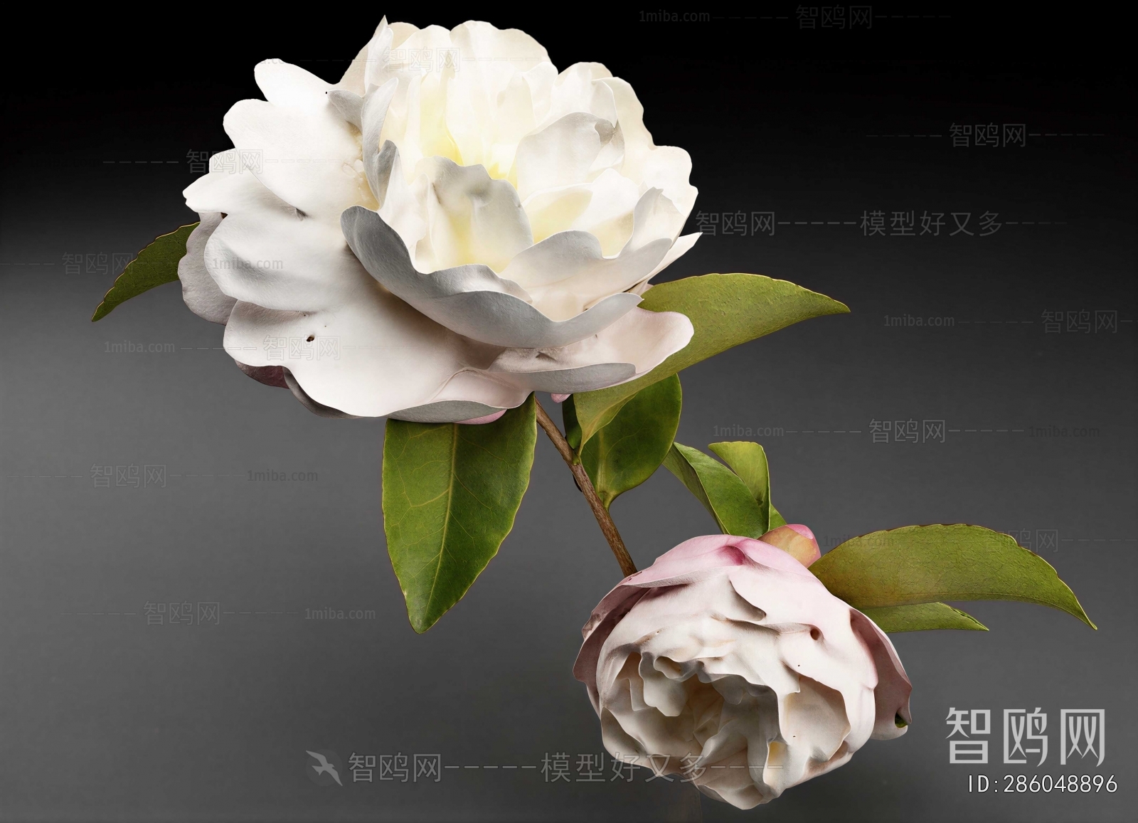 Modern Flowers And Grass