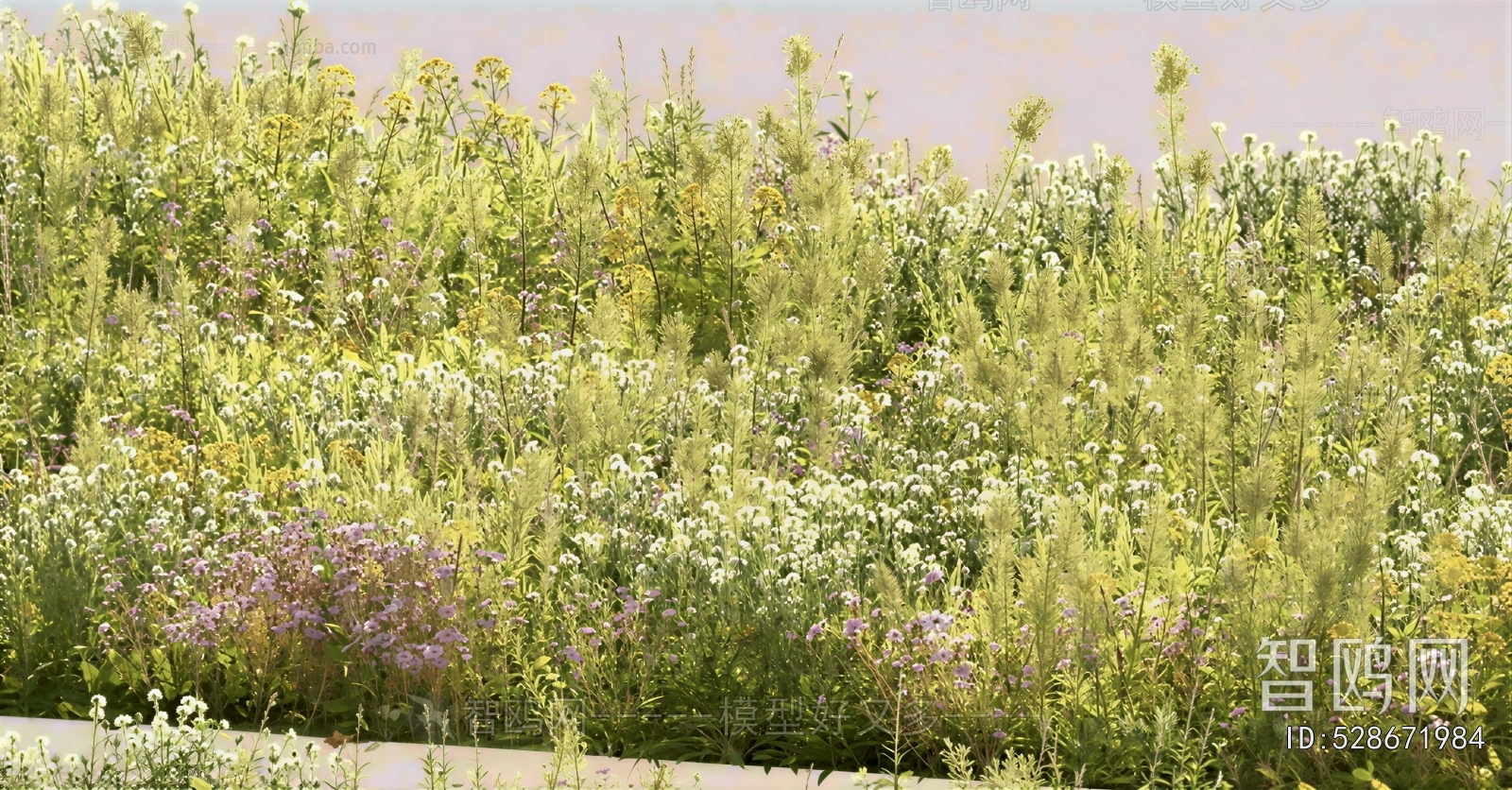 Modern Flowers And Grass
