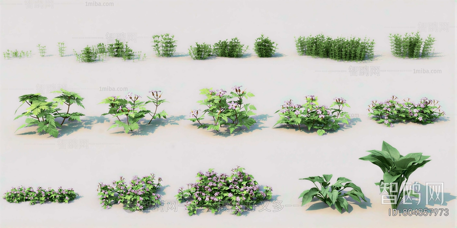 Modern Flowers And Grass