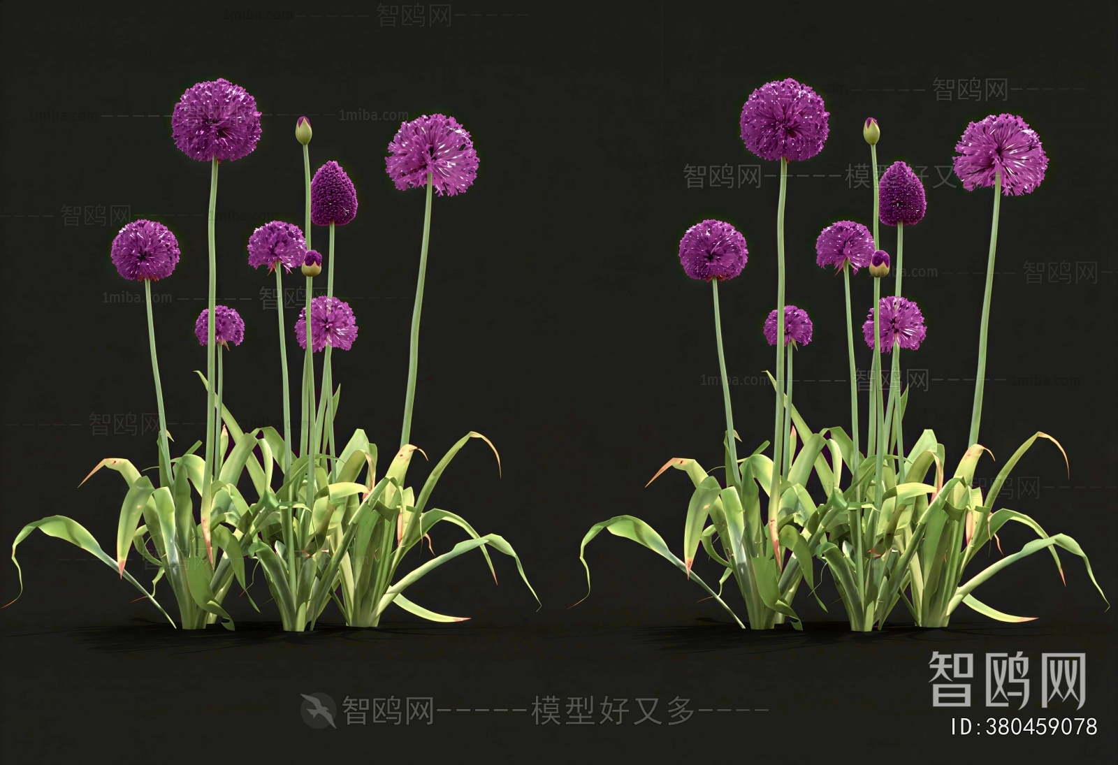 Modern Flowers And Grass