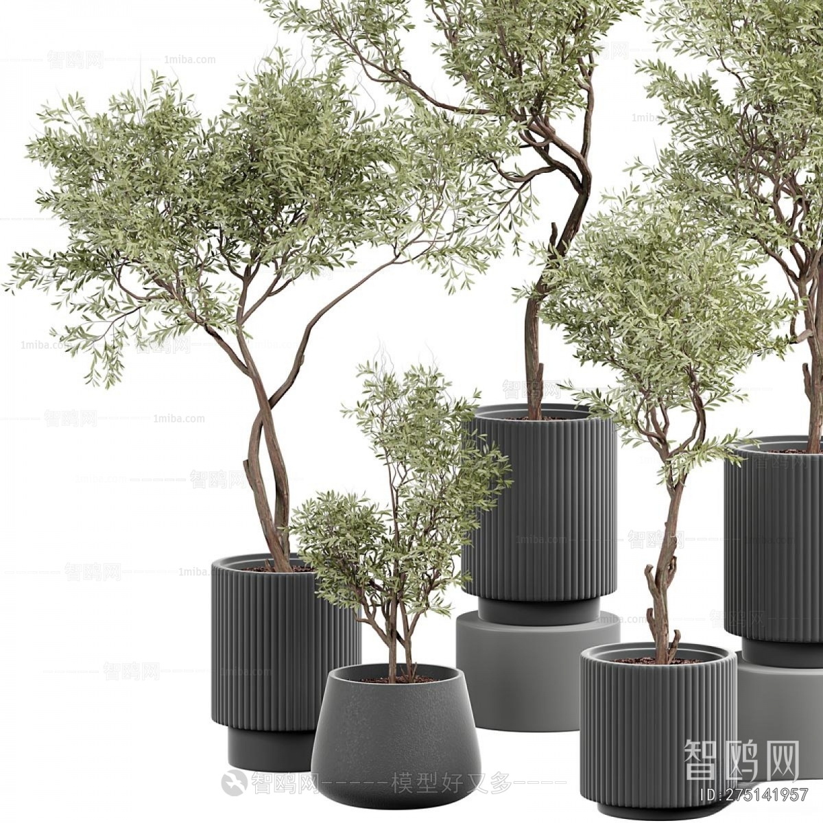 Modern Ground Green Plant Potted Plants