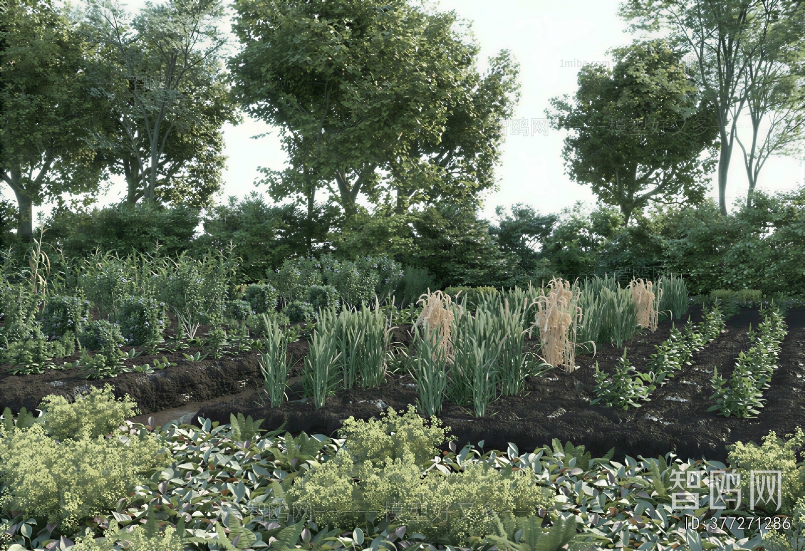 Modern Crop