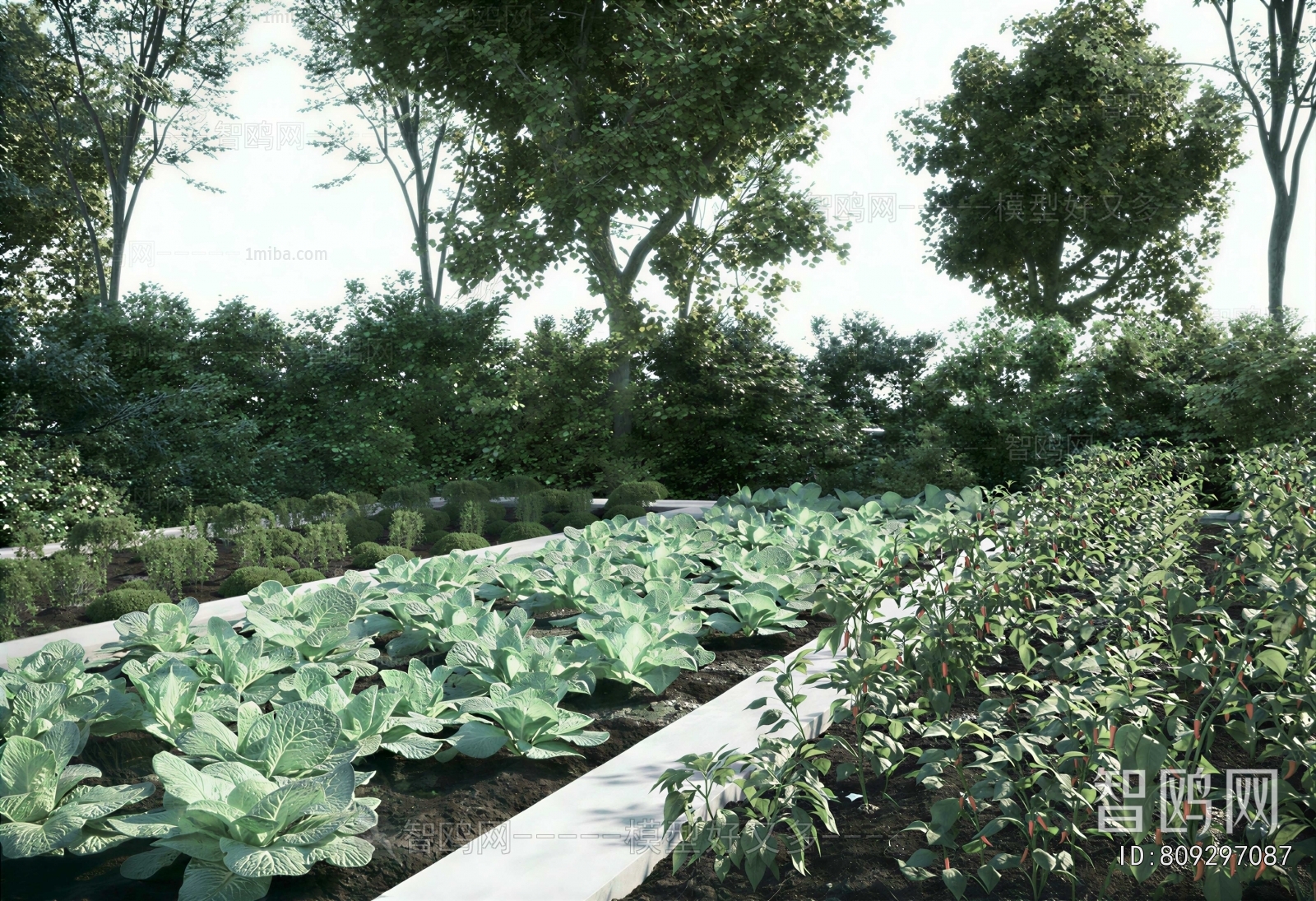 Modern Crop