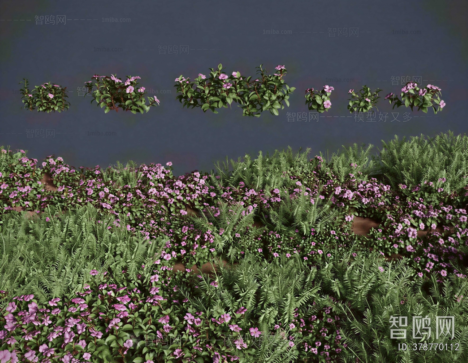 Modern Flowers And Grass