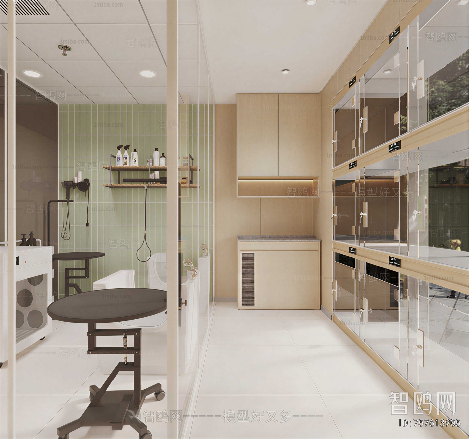 Modern Pet Shop
