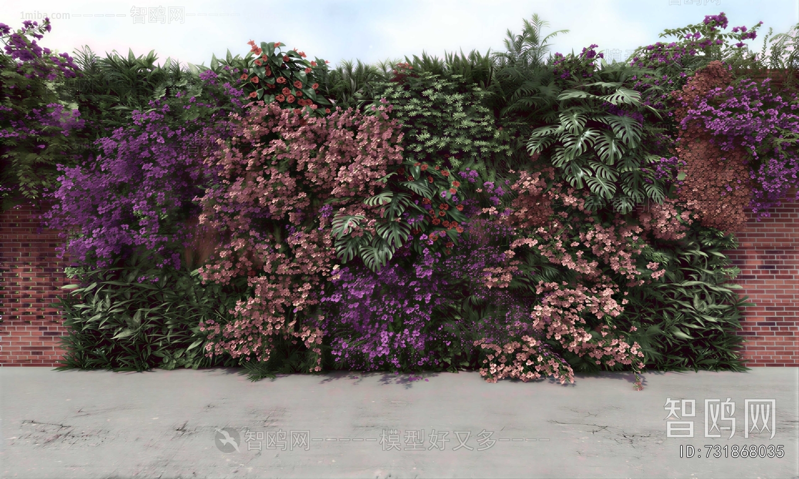 Modern Vine