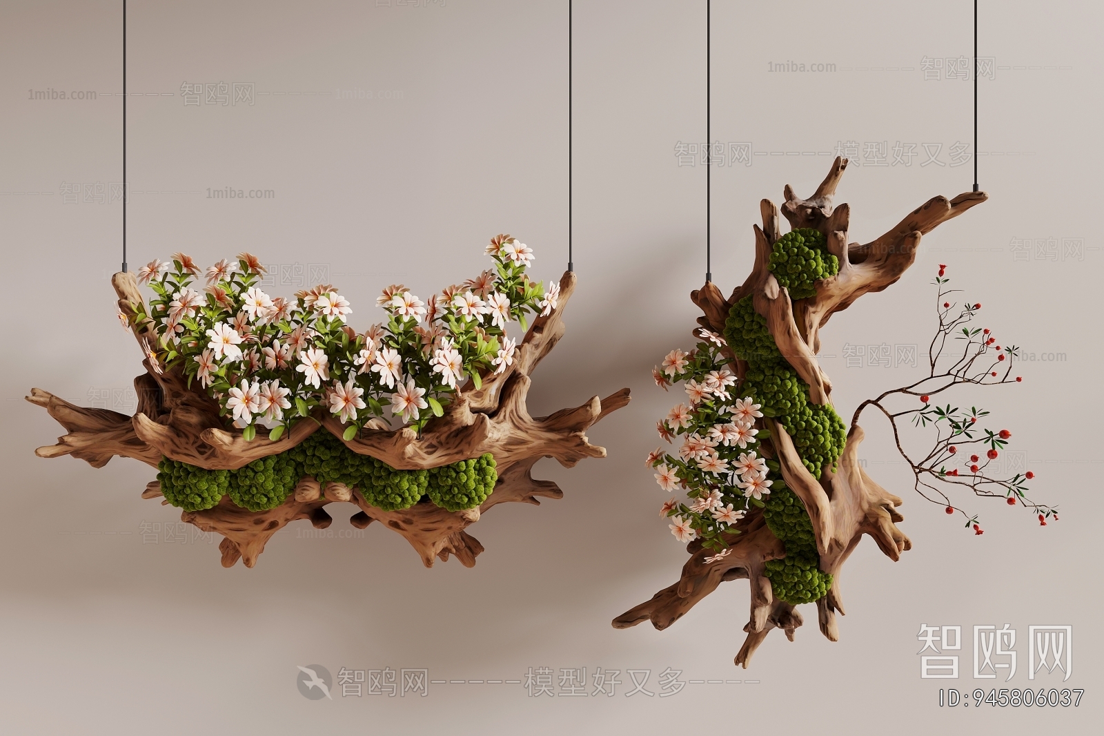 Modern Plant Landscaping