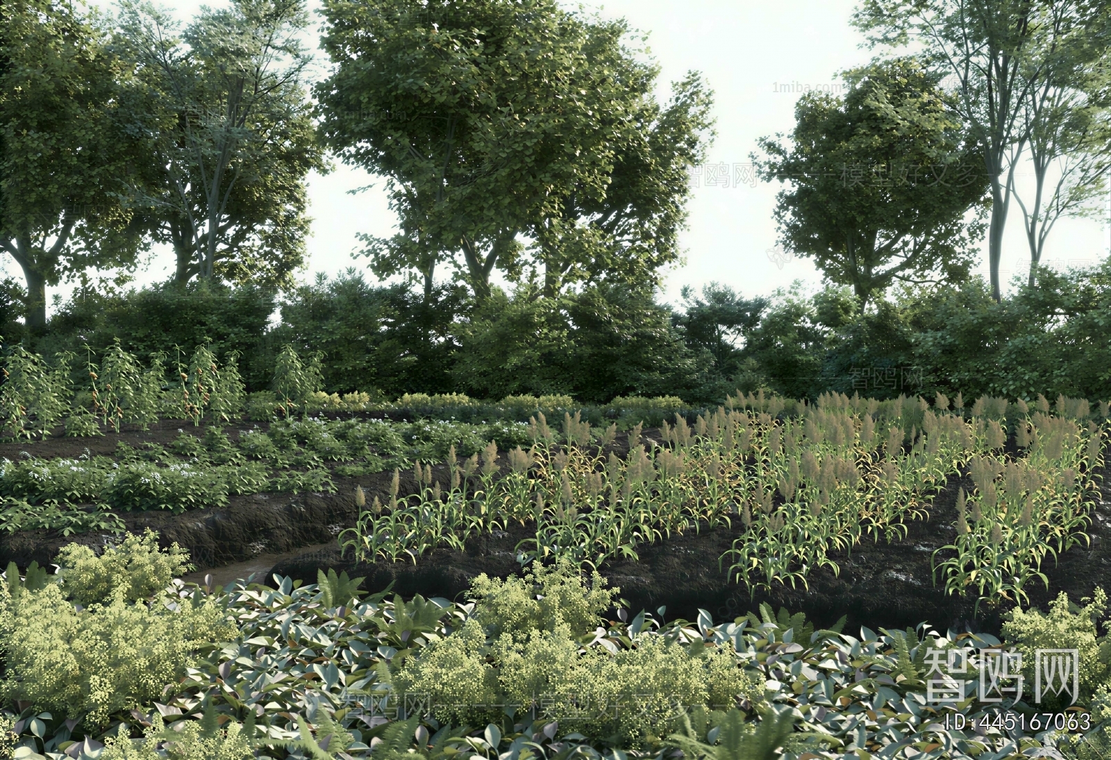 Modern Crop