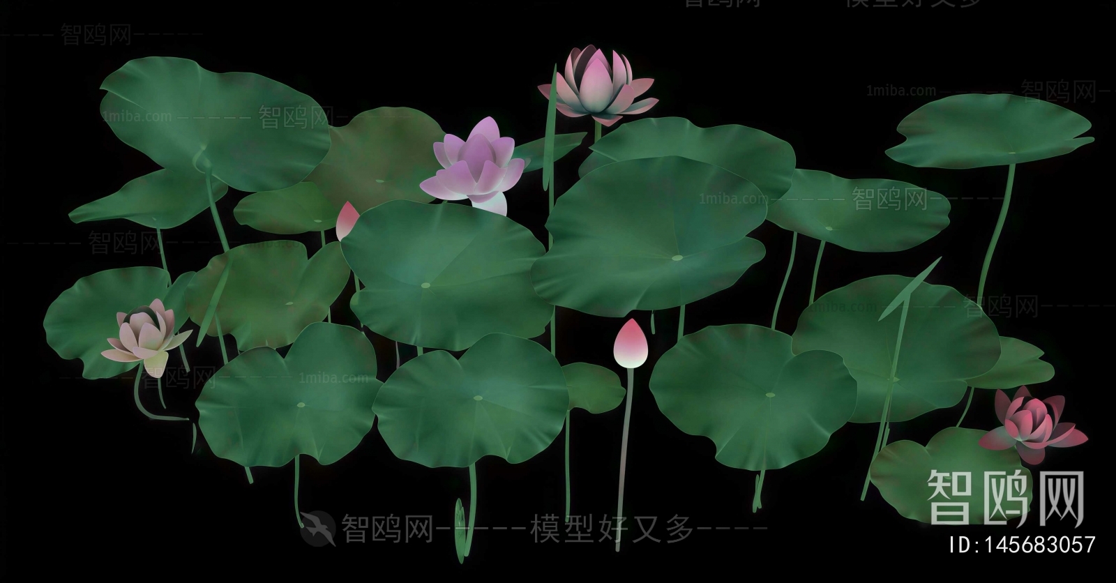 Modern Flowers And Grass