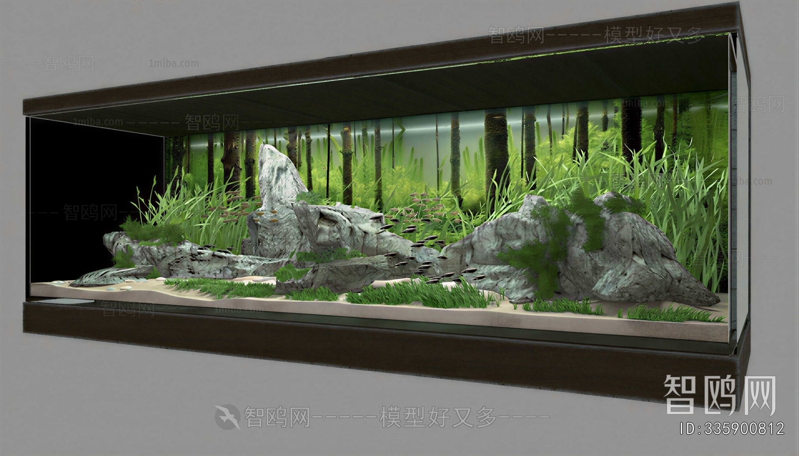 Modern Fish Tank