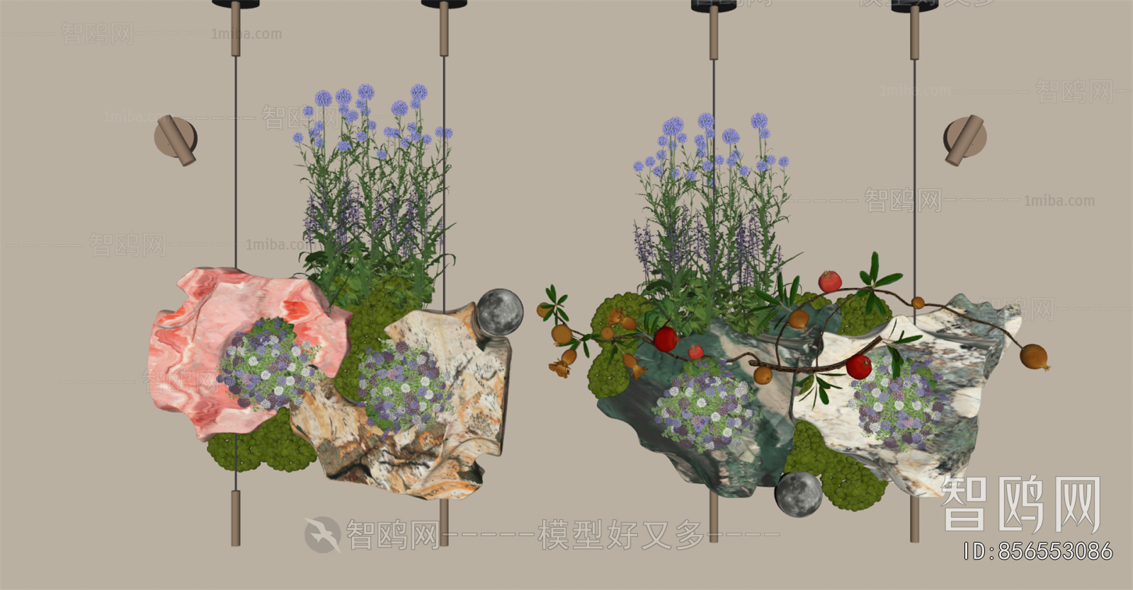 Modern Plant Landscaping