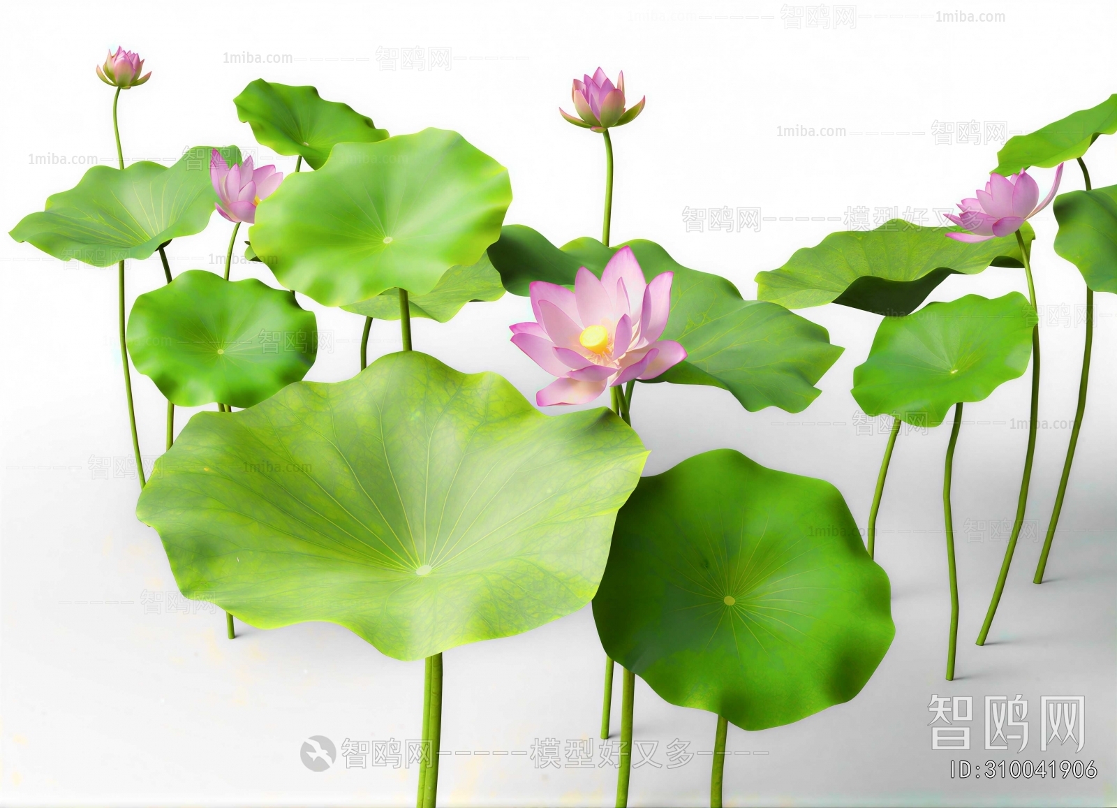 Modern Flowers And Grass