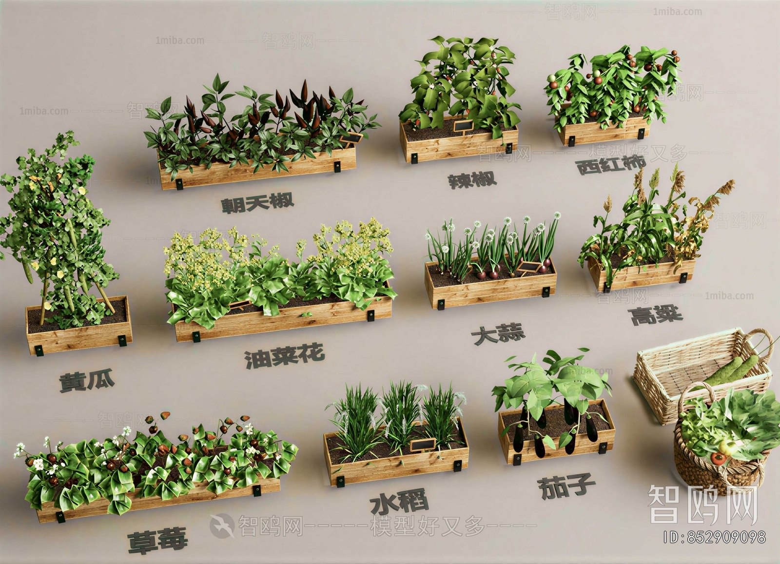Modern Crop