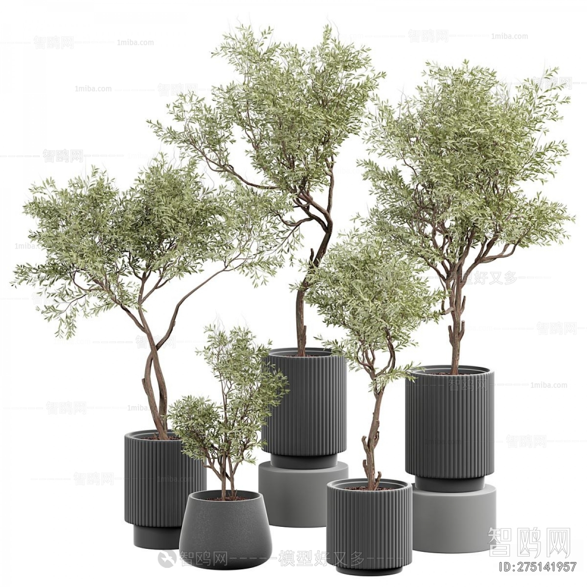 Modern Ground Green Plant Potted Plants