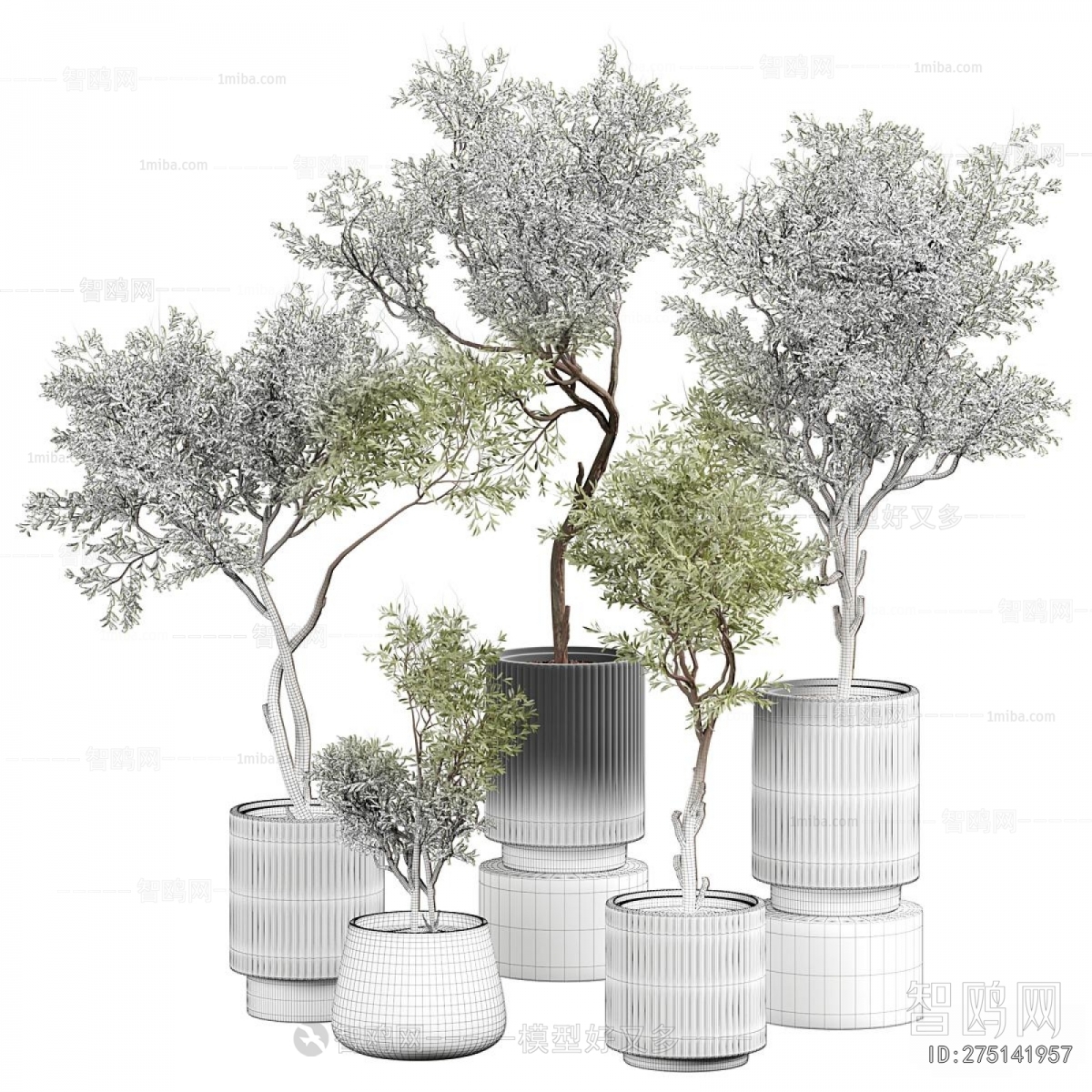 Modern Ground Green Plant Potted Plants