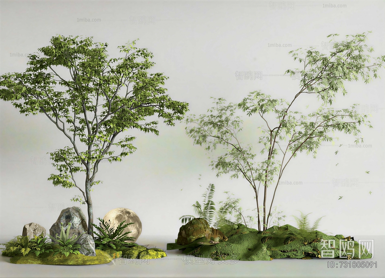 Modern Plant Landscaping