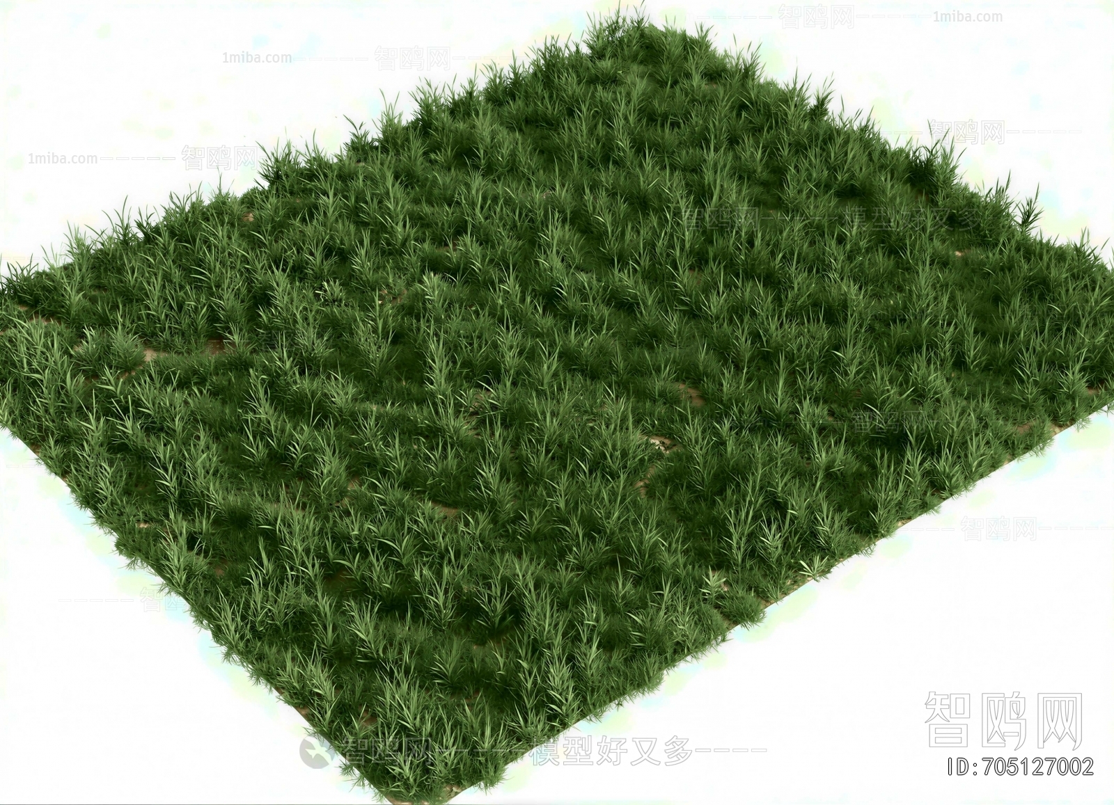 Modern The Grass