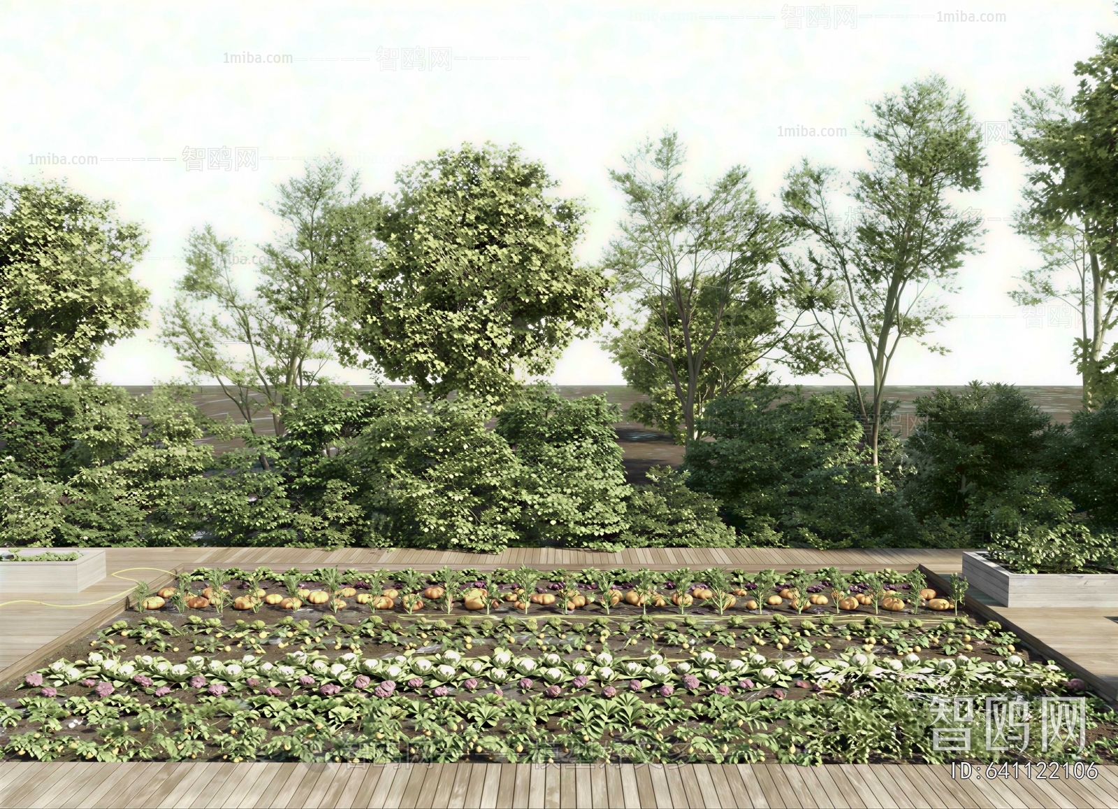 Modern Crop