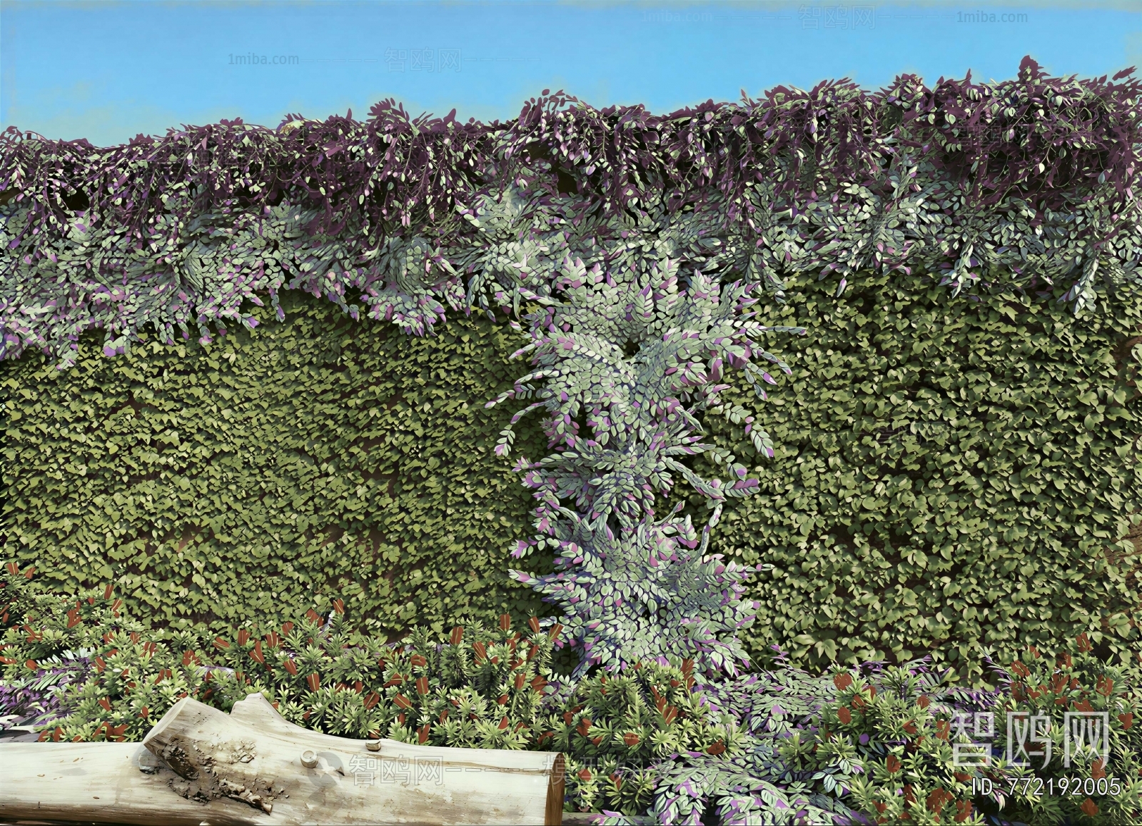Modern Plant Wall