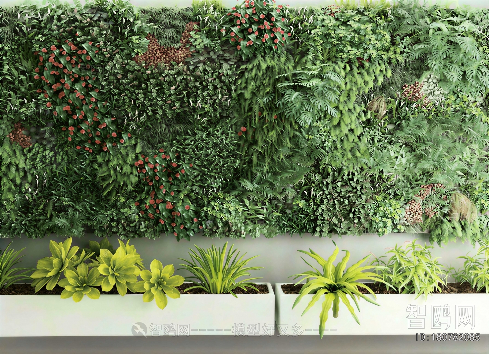 Modern Plant Wall