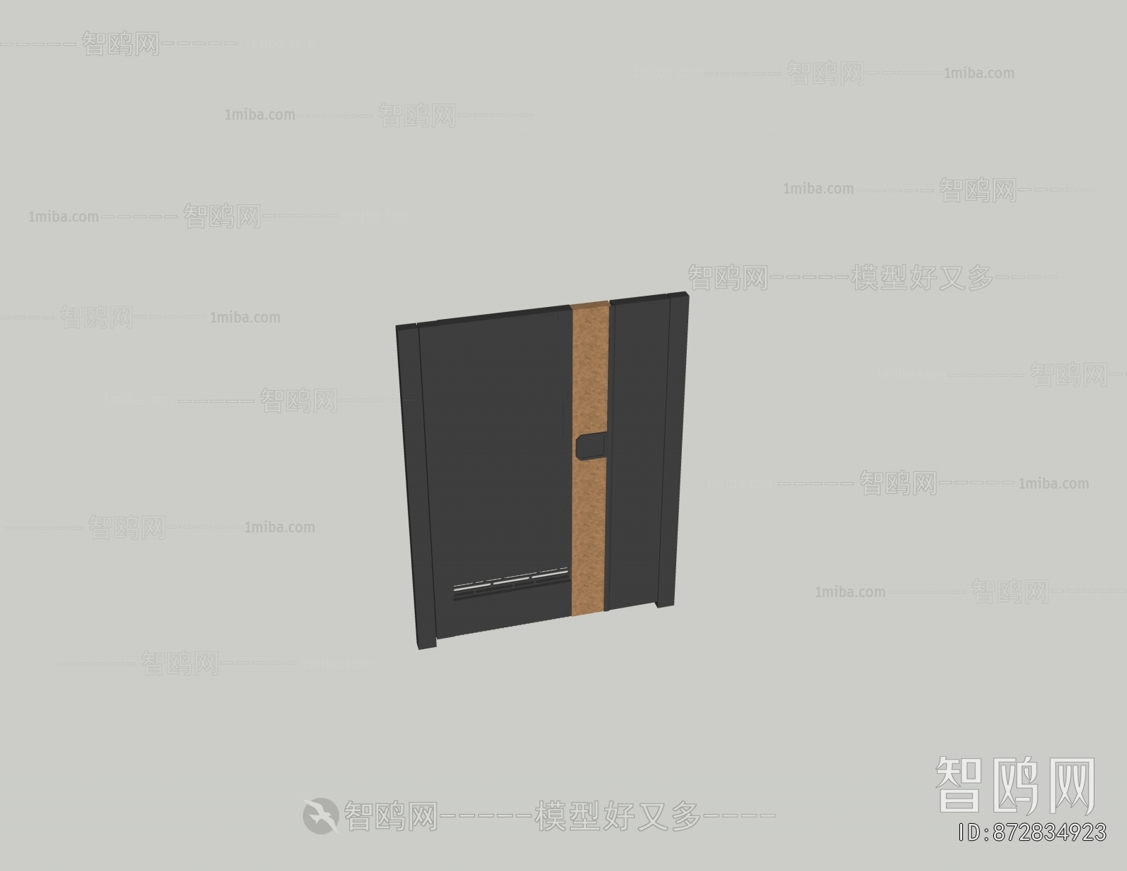 Modern Door