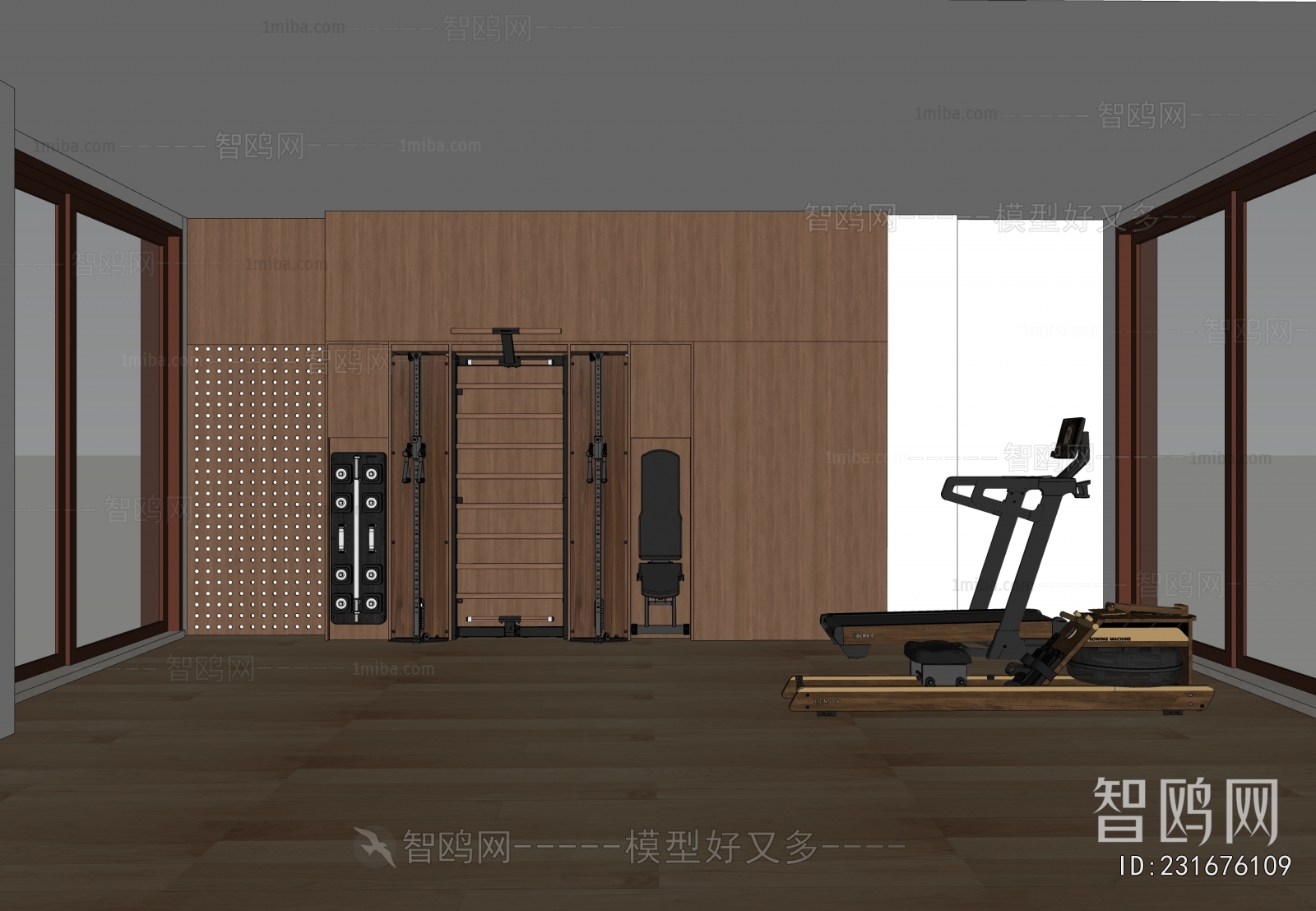 Modern Home Fitness Room