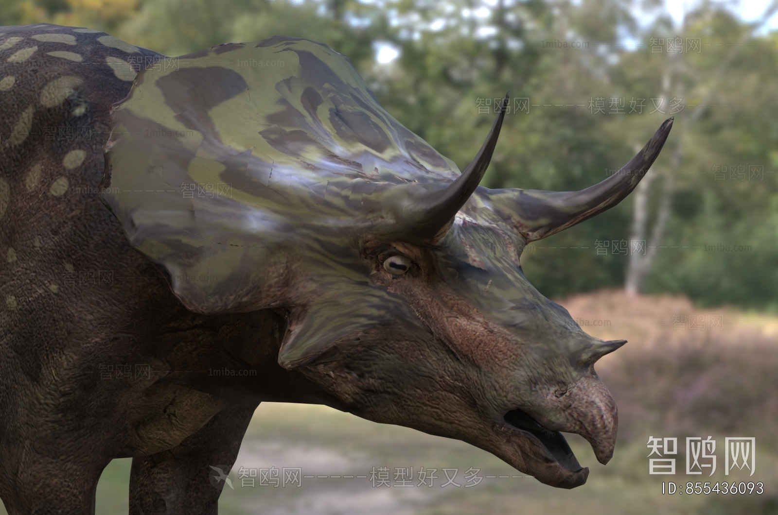 Modern Other Animals