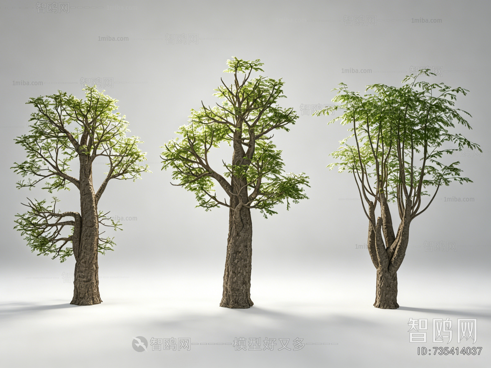 Modern Tree