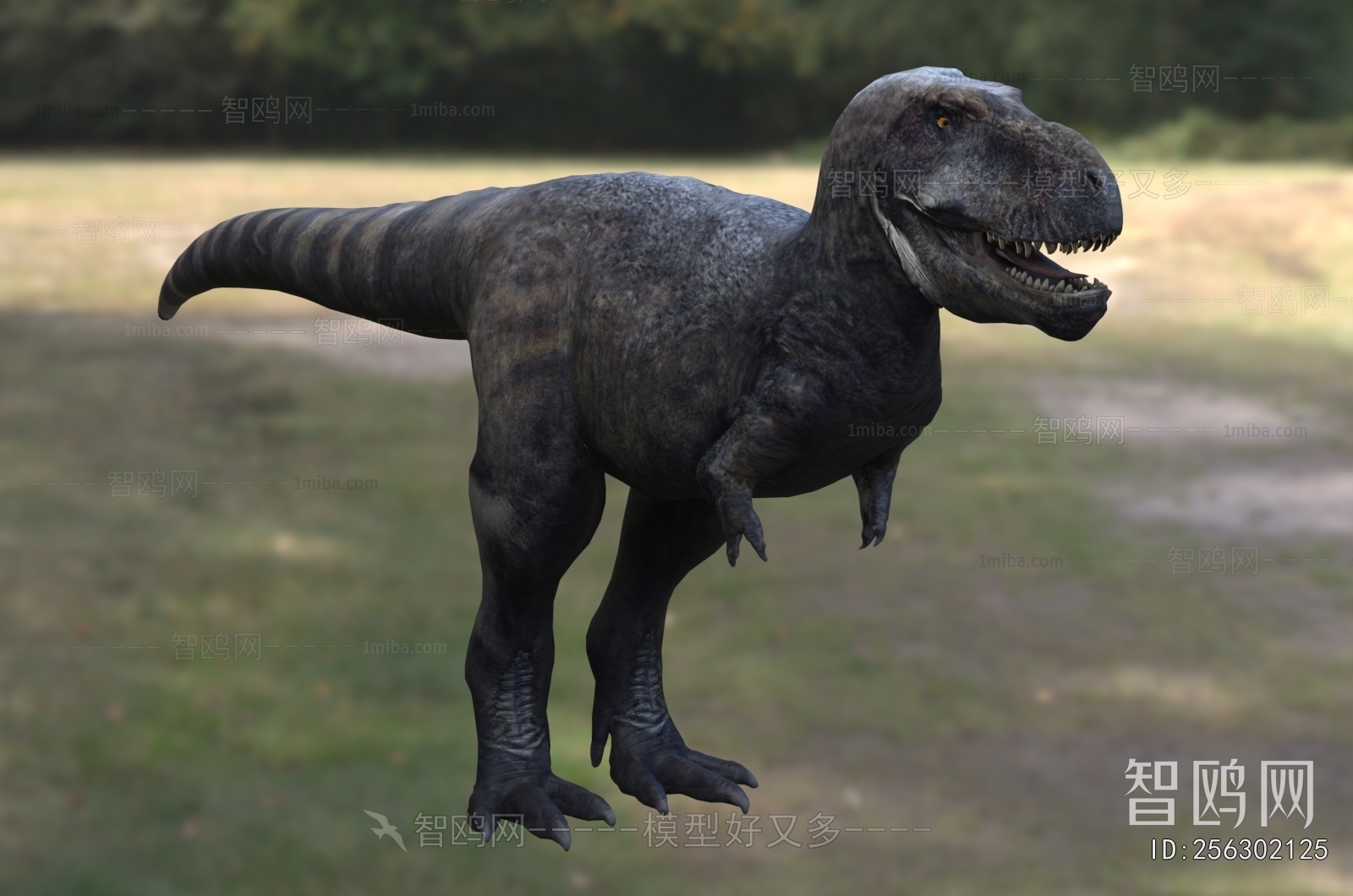 Modern Other Animals