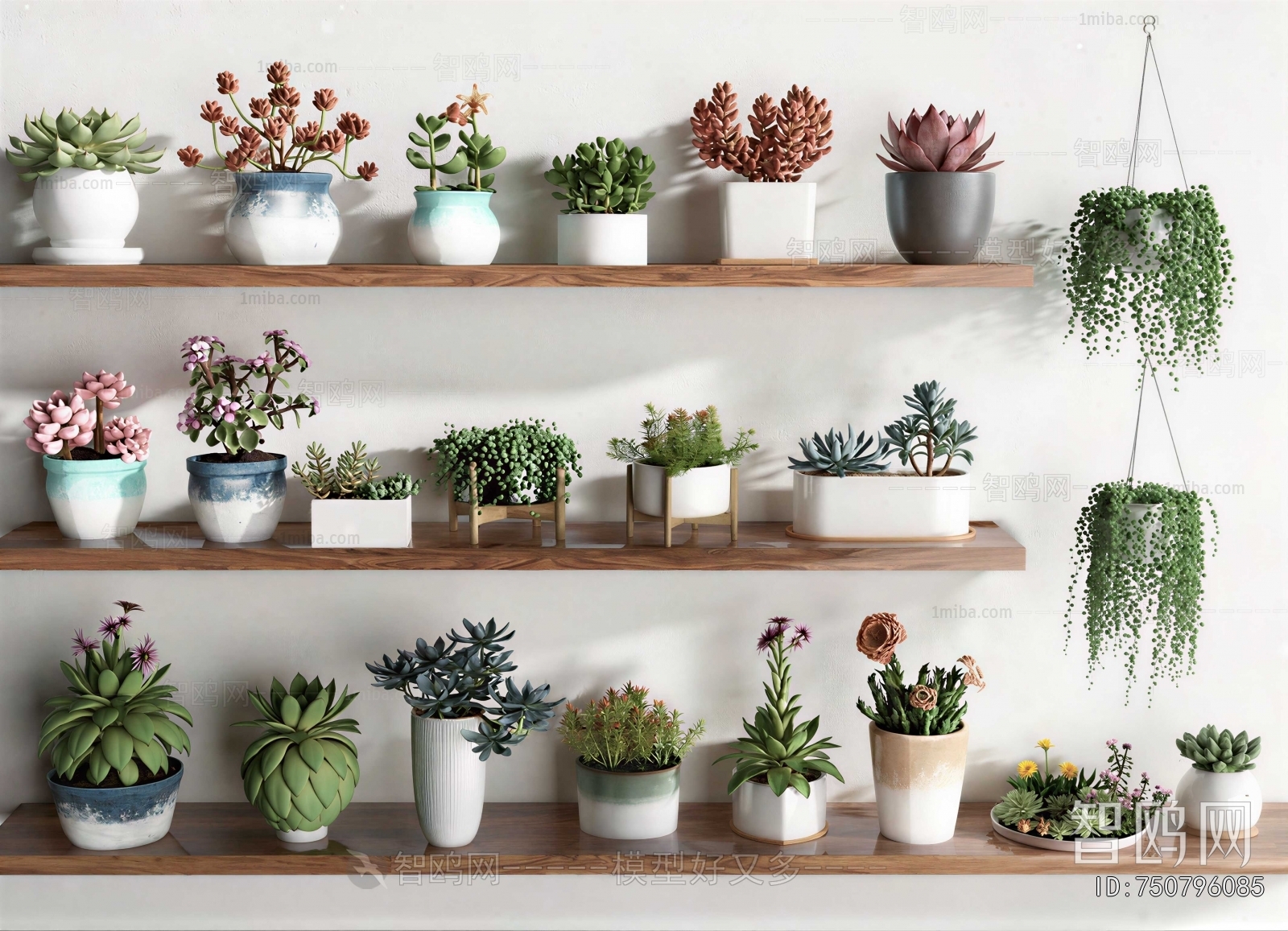 Modern Desktop Plant