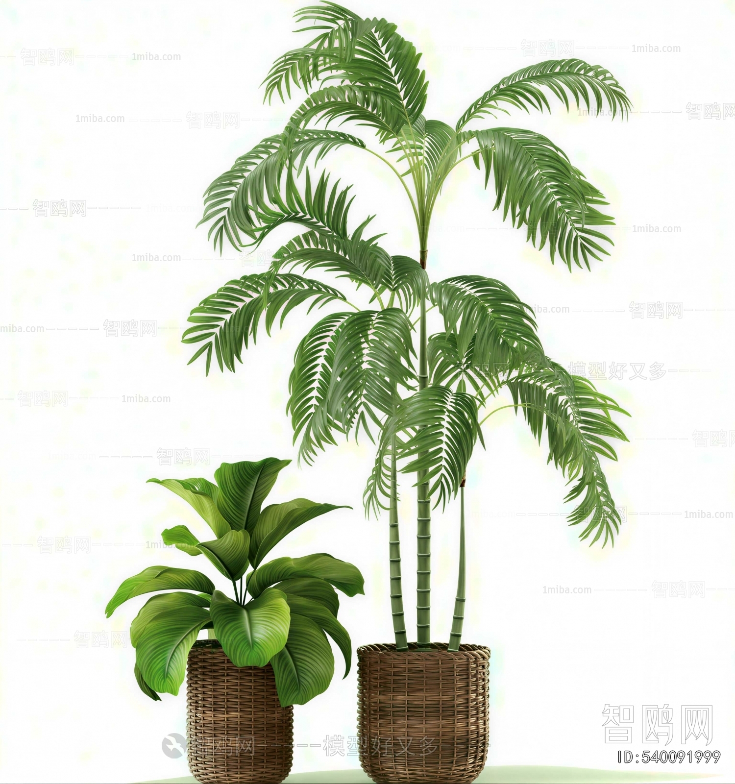 Modern Ground Green Plant Potted Plants