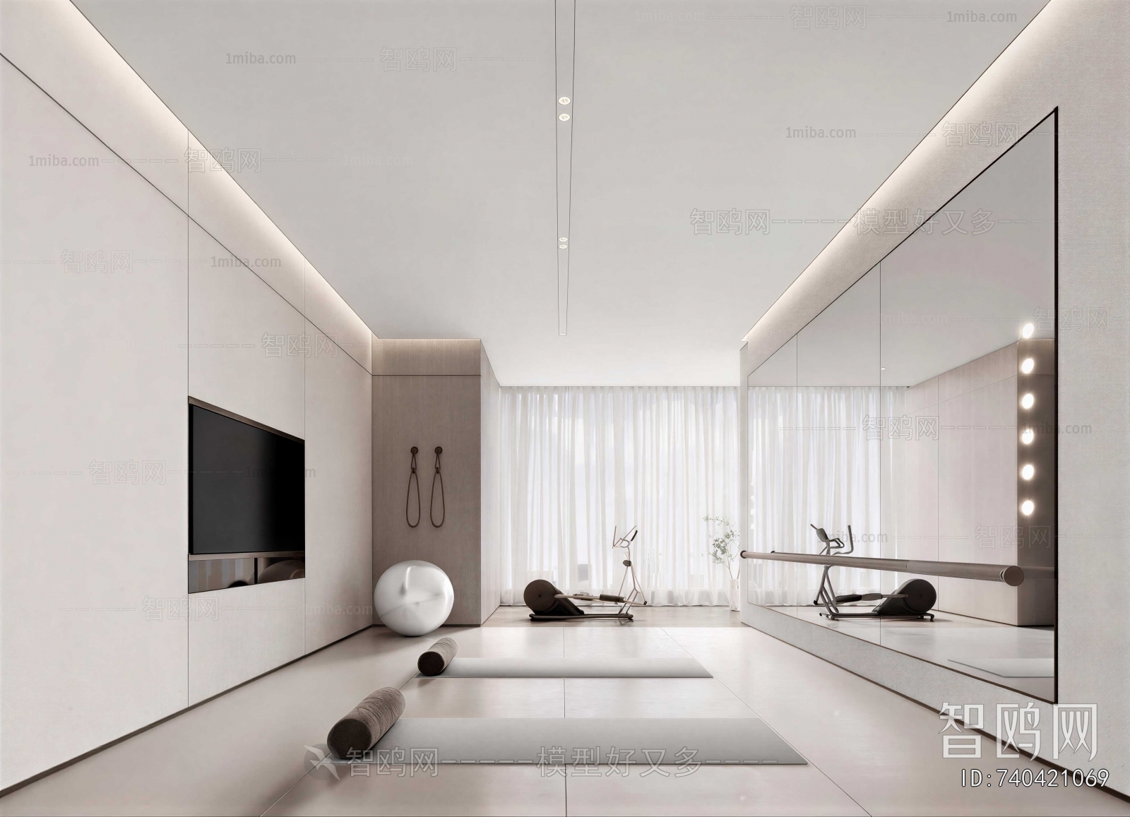 Modern Home Fitness Room