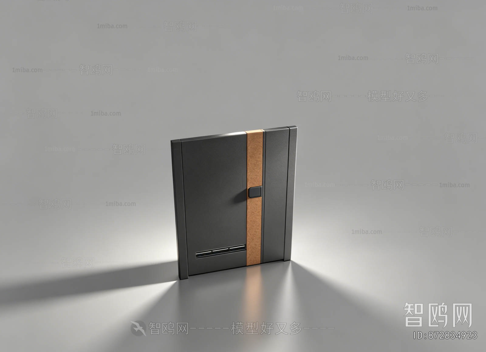 Modern Door