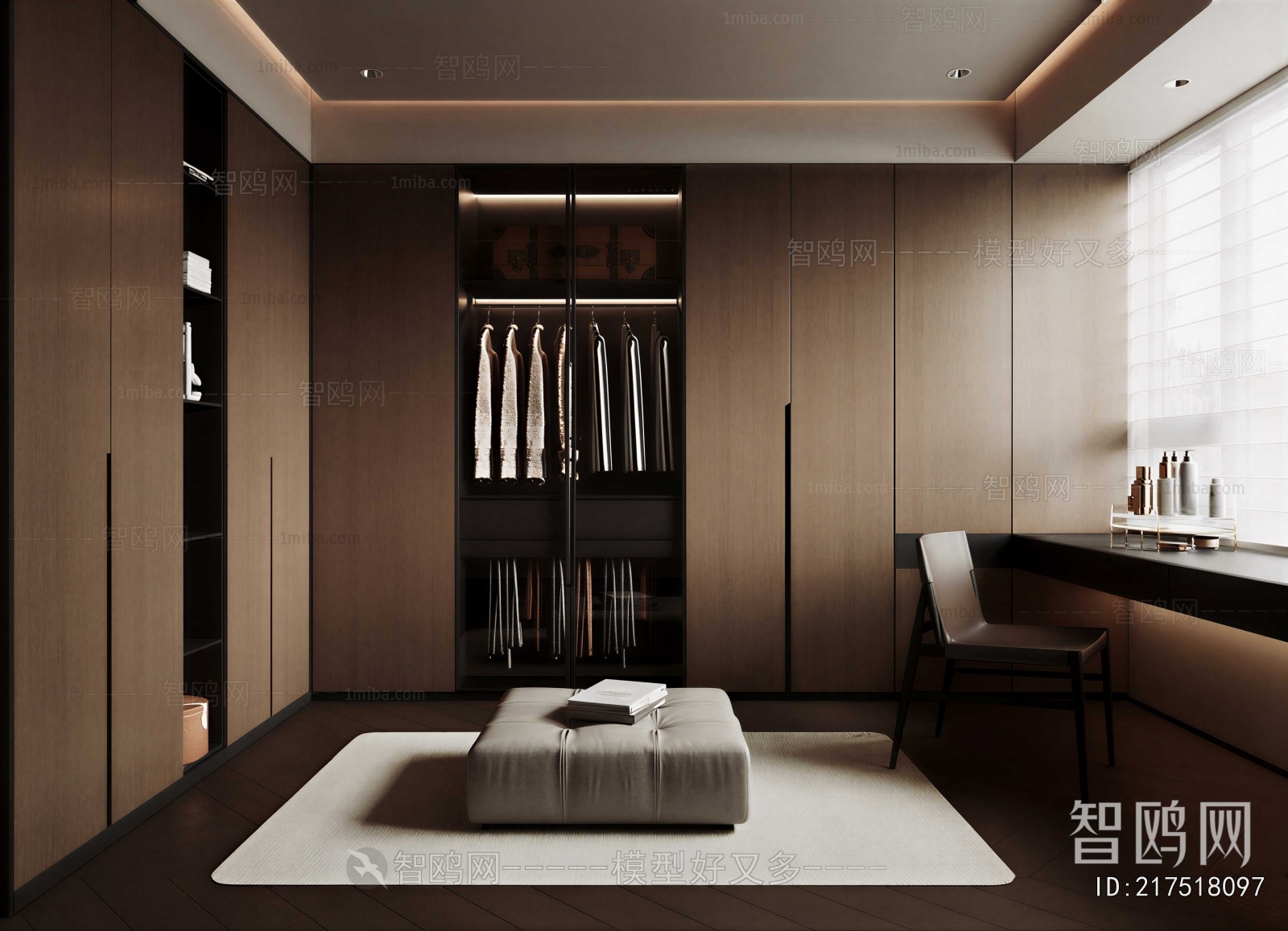 Modern Clothes Storage Area