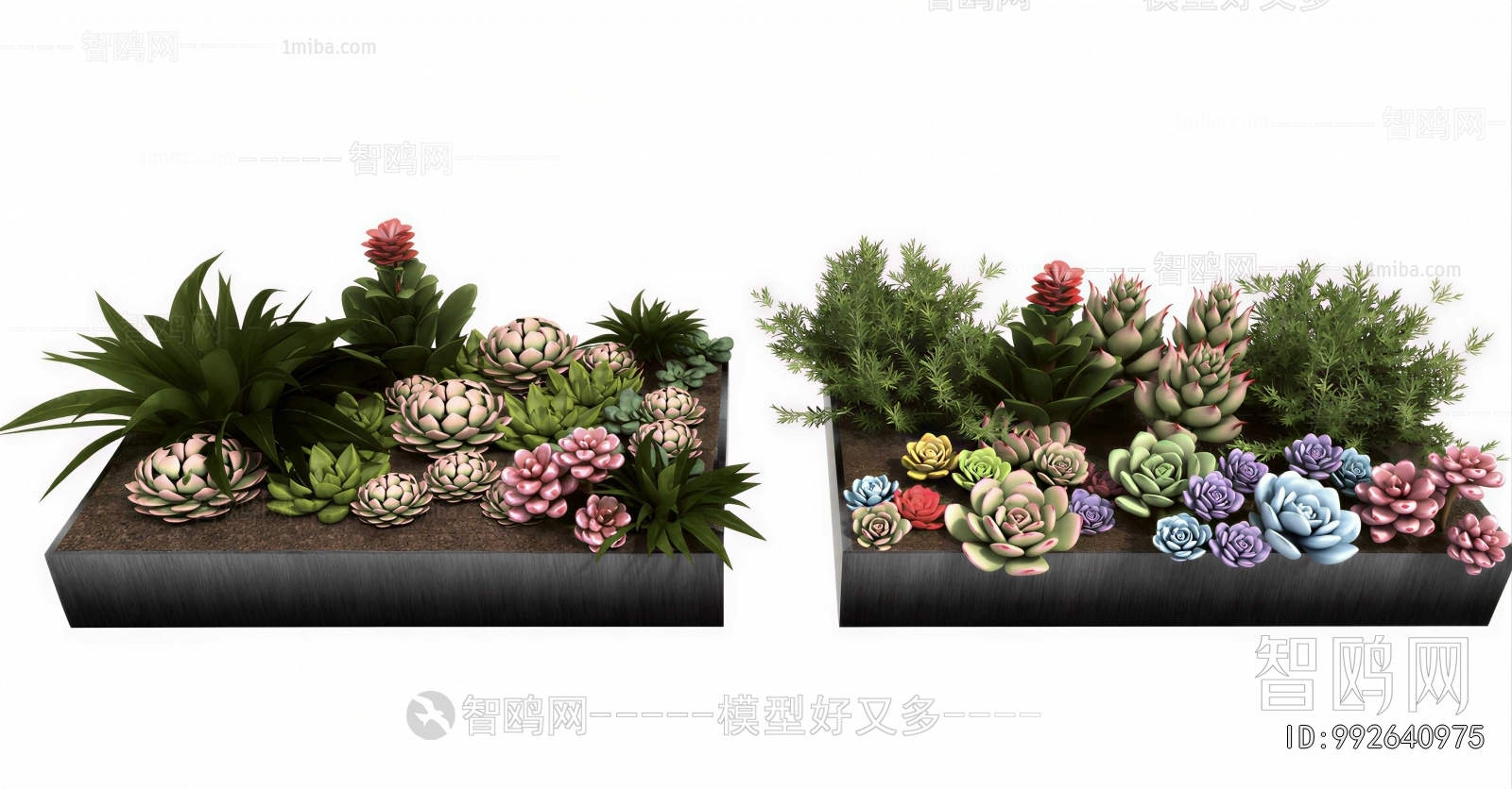 Modern Desktop Plant
