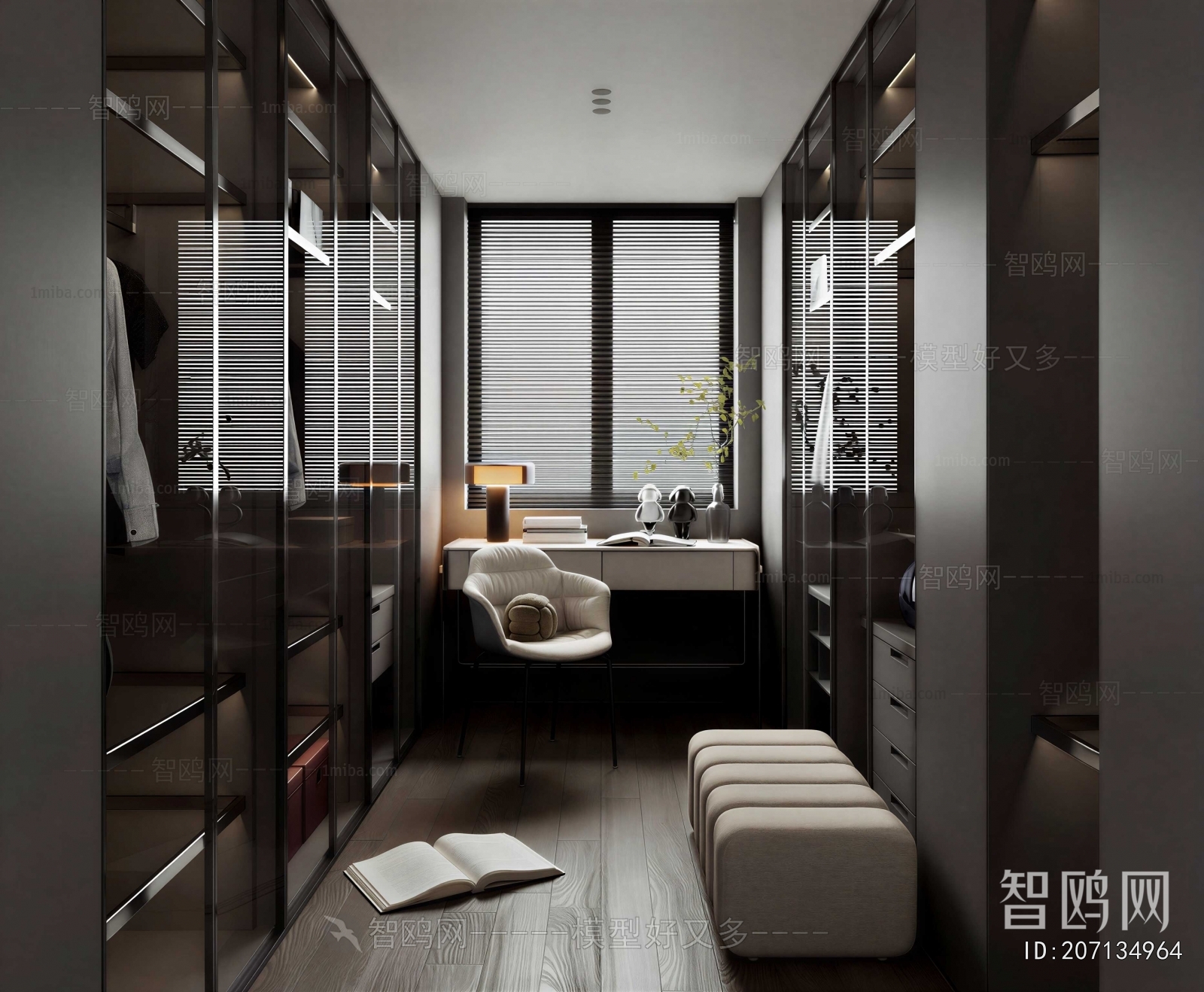 Modern Clothes Storage Area