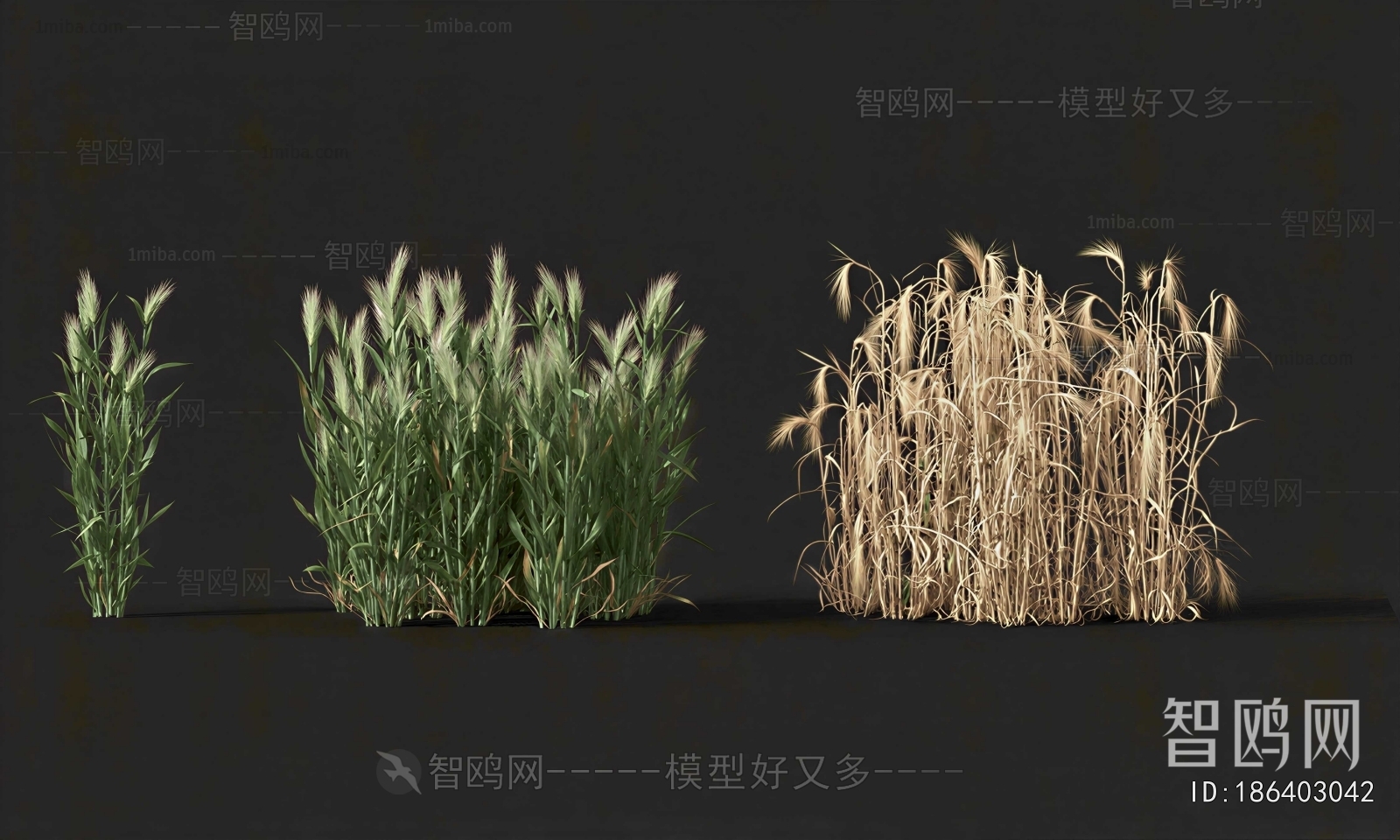 Modern Crop