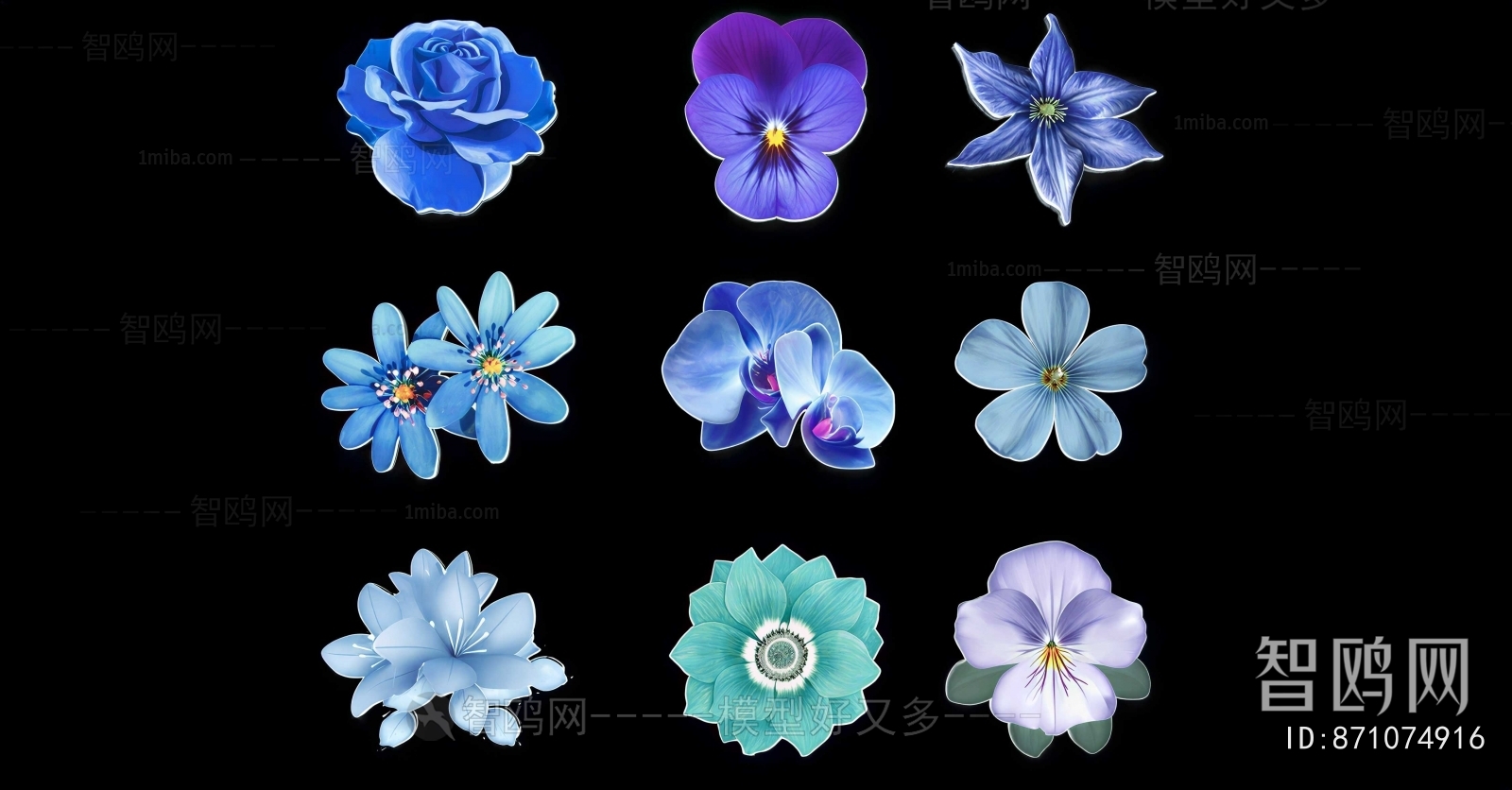 Modern Flowers And Grass