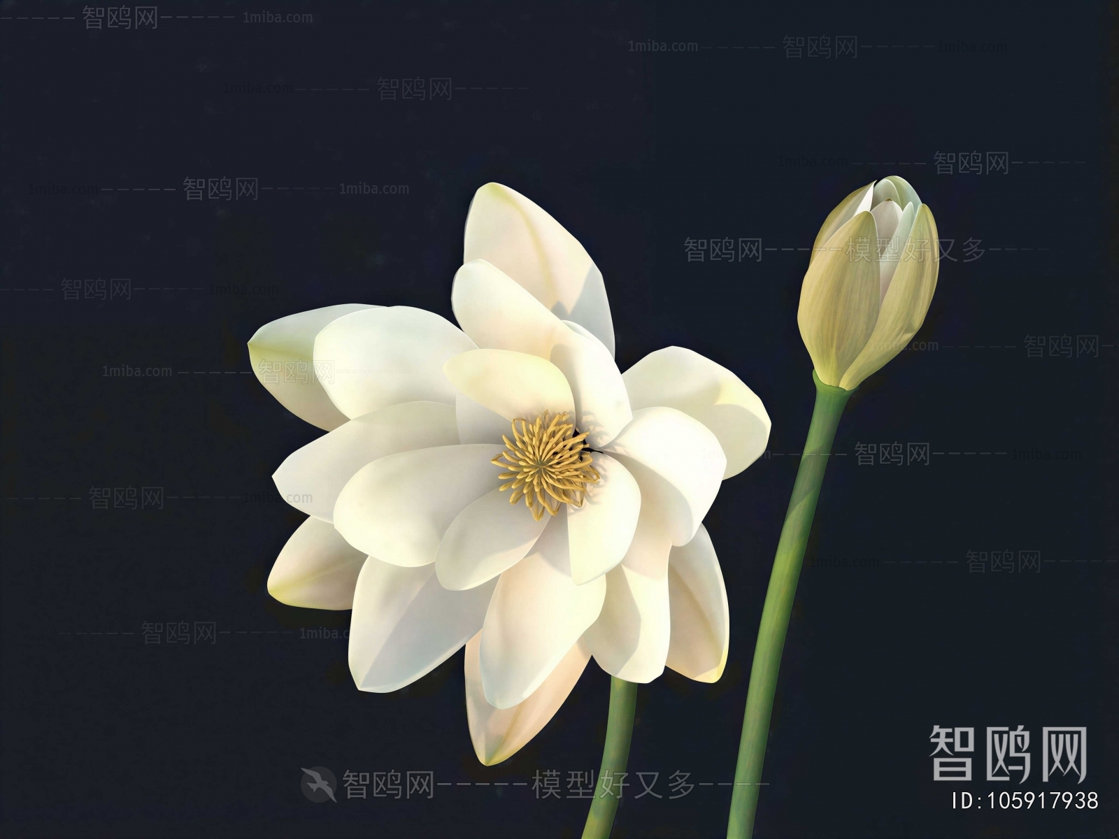 Modern Flowers And Grass