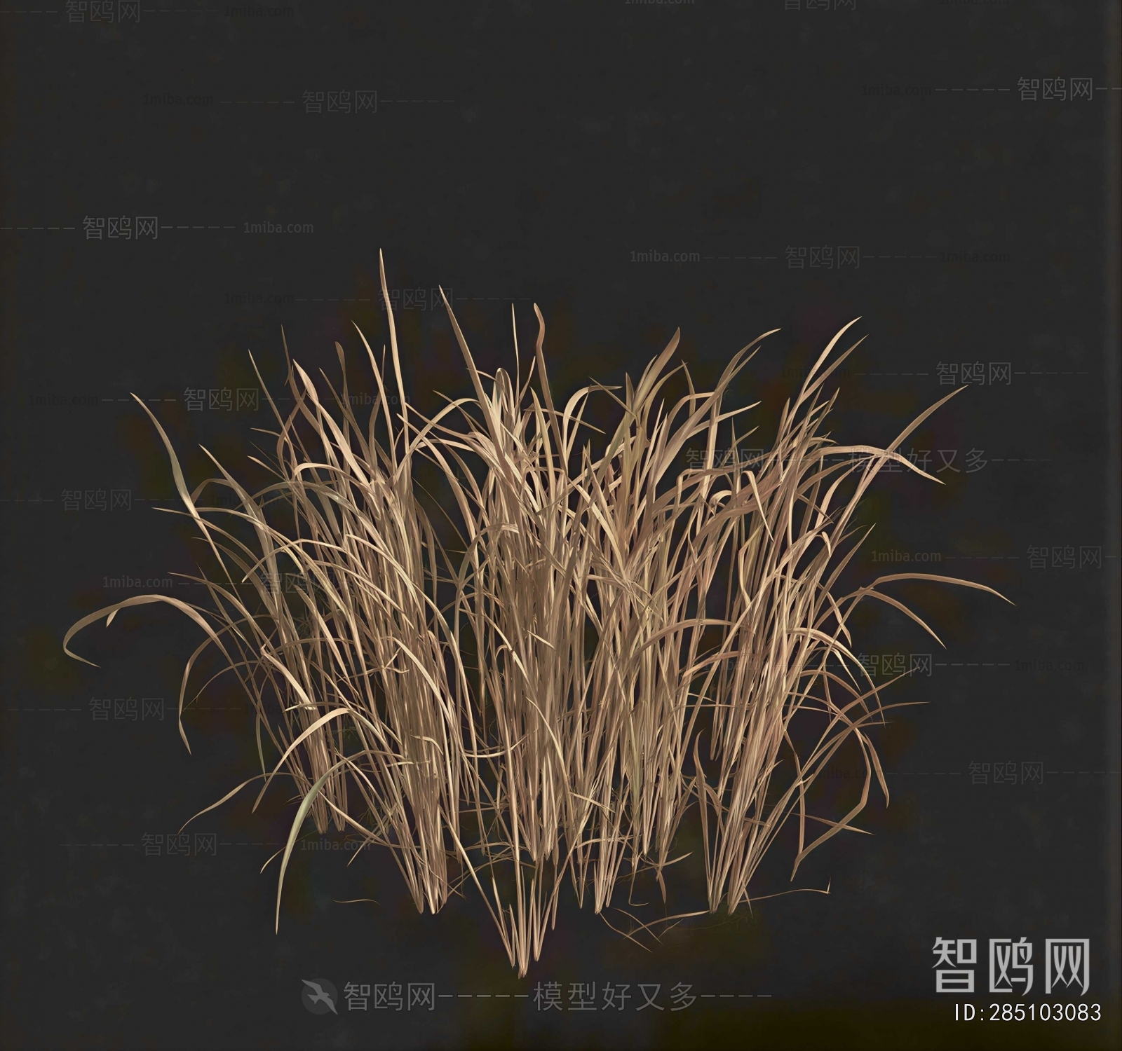 Modern The Grass