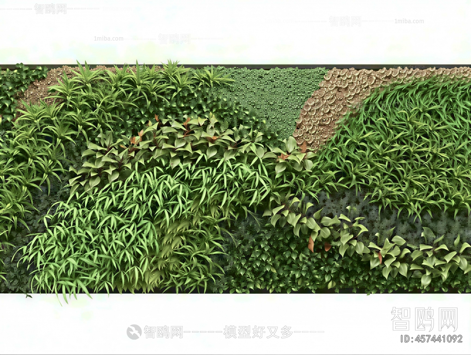 Modern Plant Wall