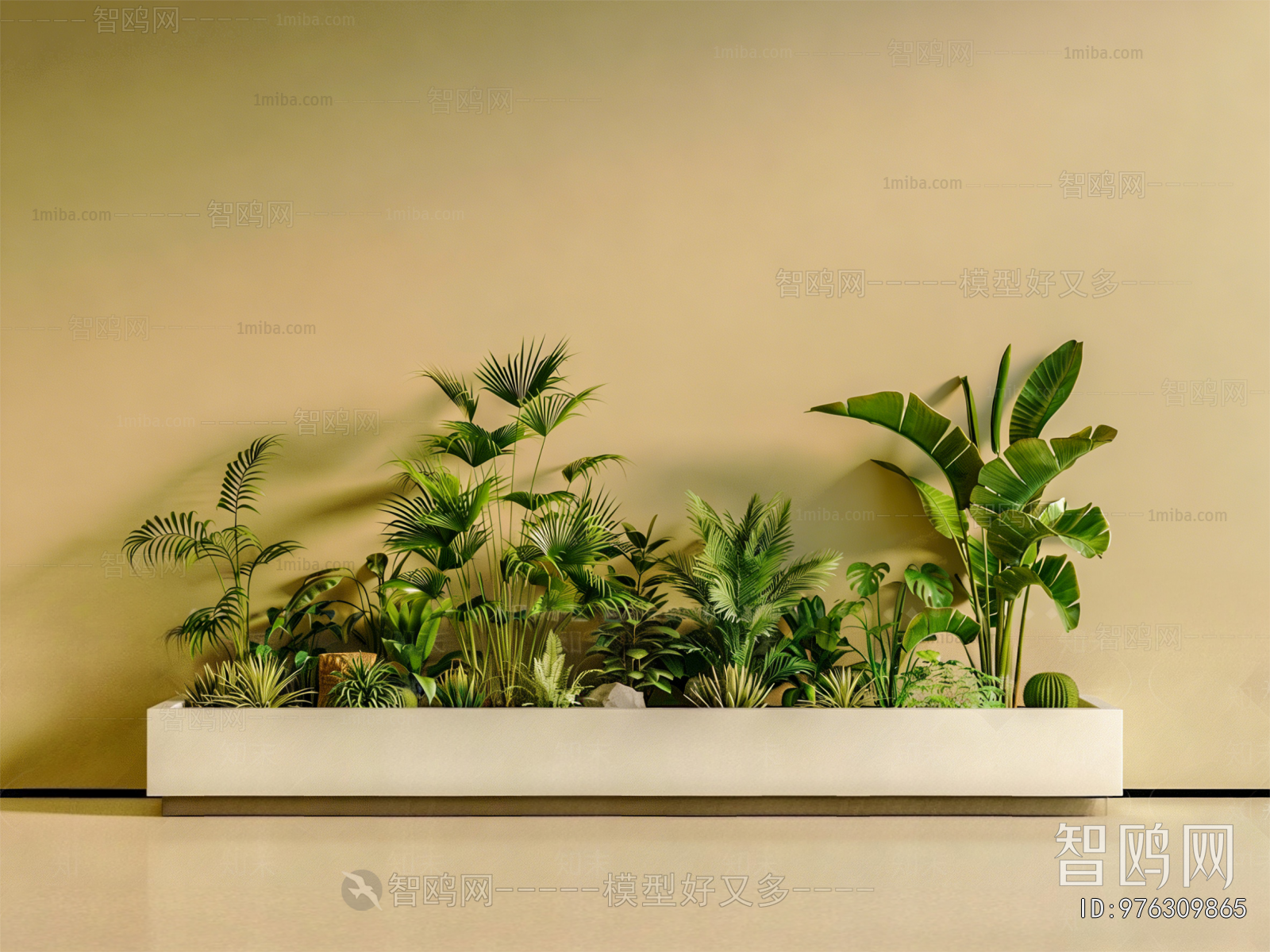 Modern Plant Landscaping