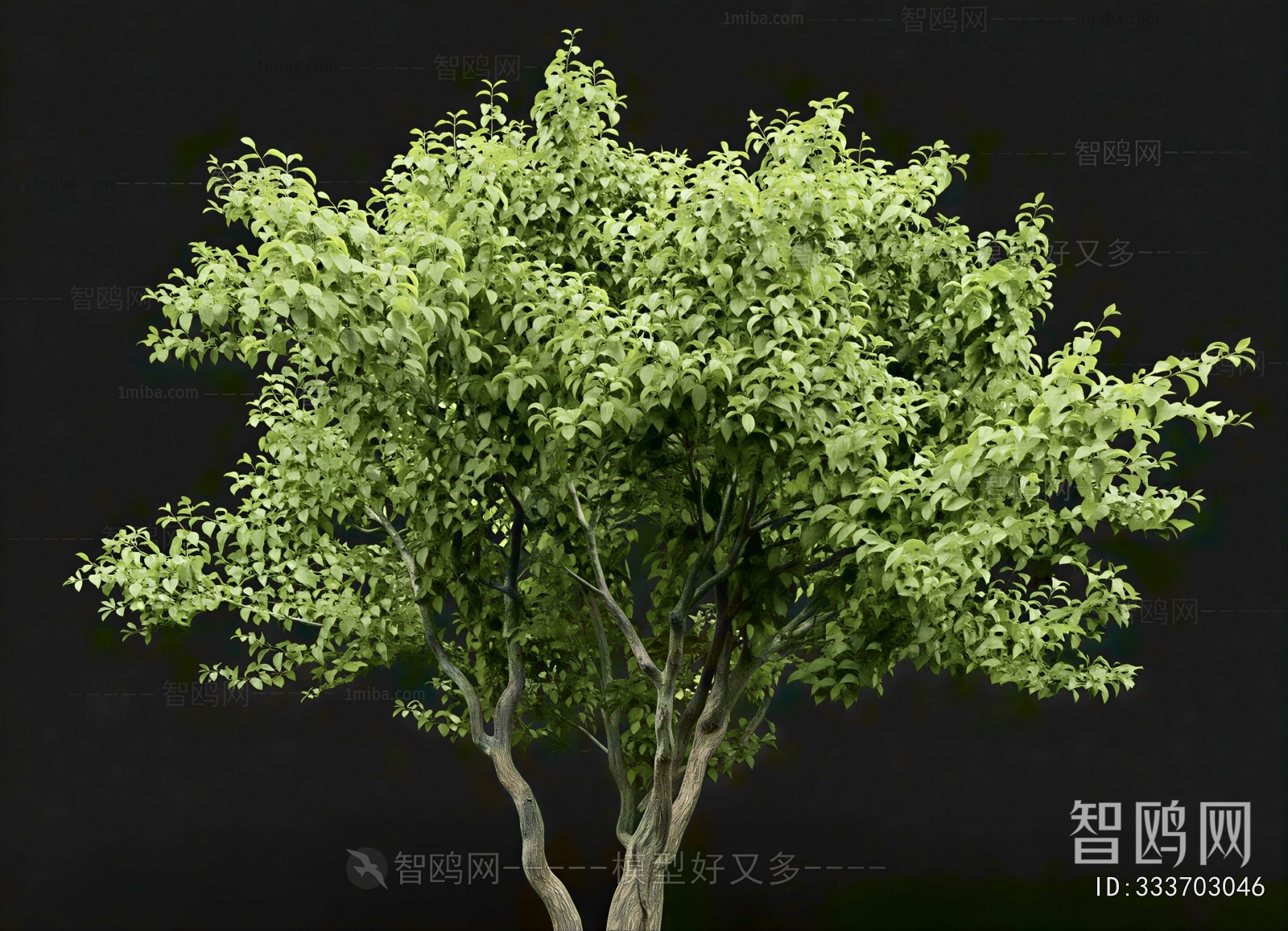Modern Tree