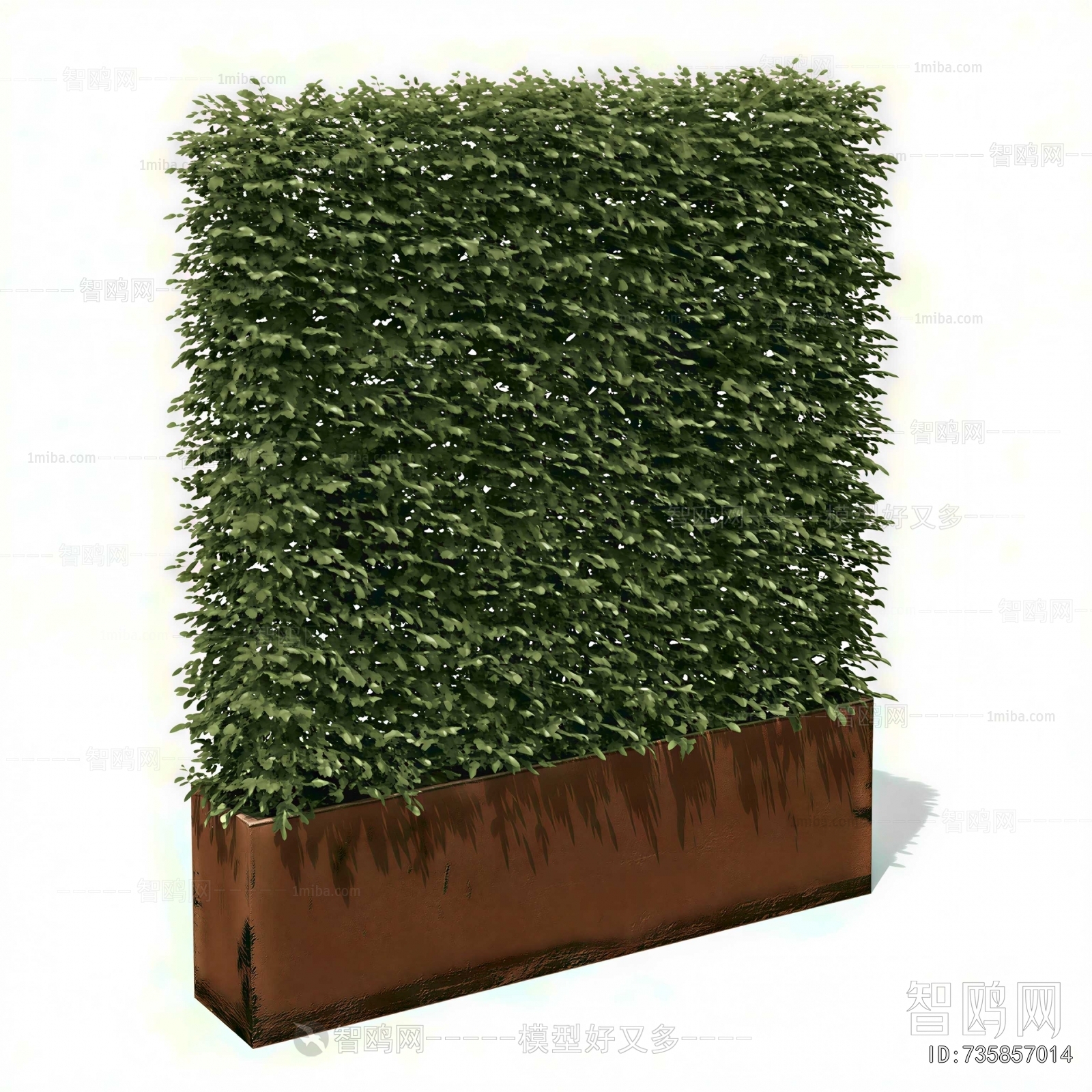Modern Vine
